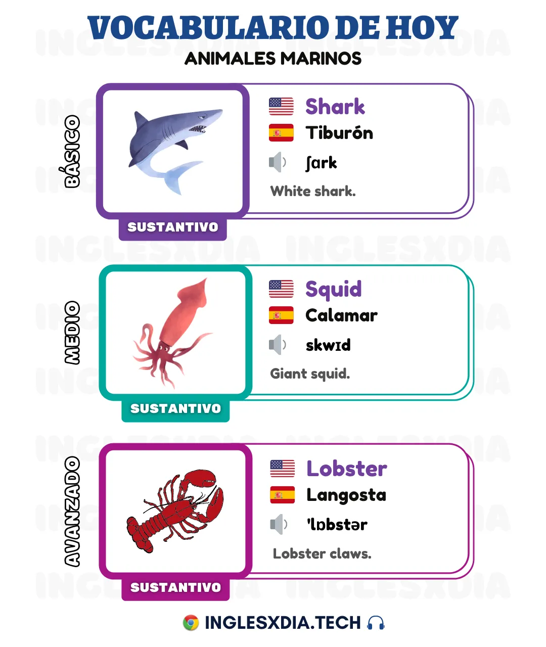 Palabras en inglés día 20