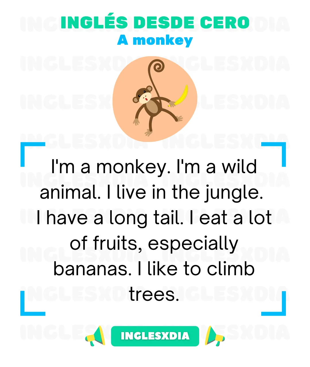 A monkey