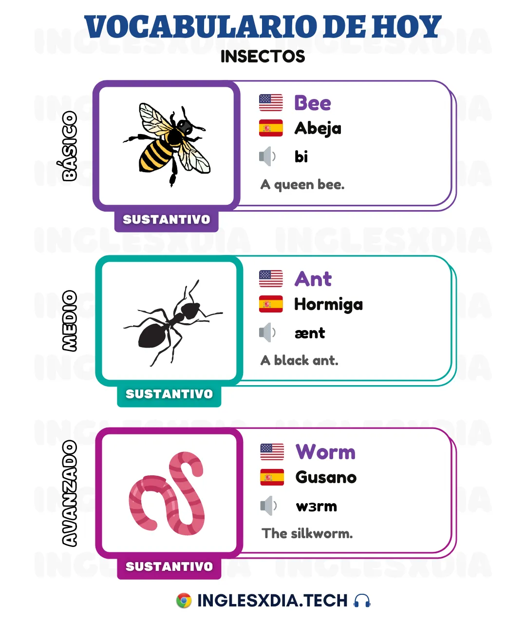 Palabras en inglés día 54