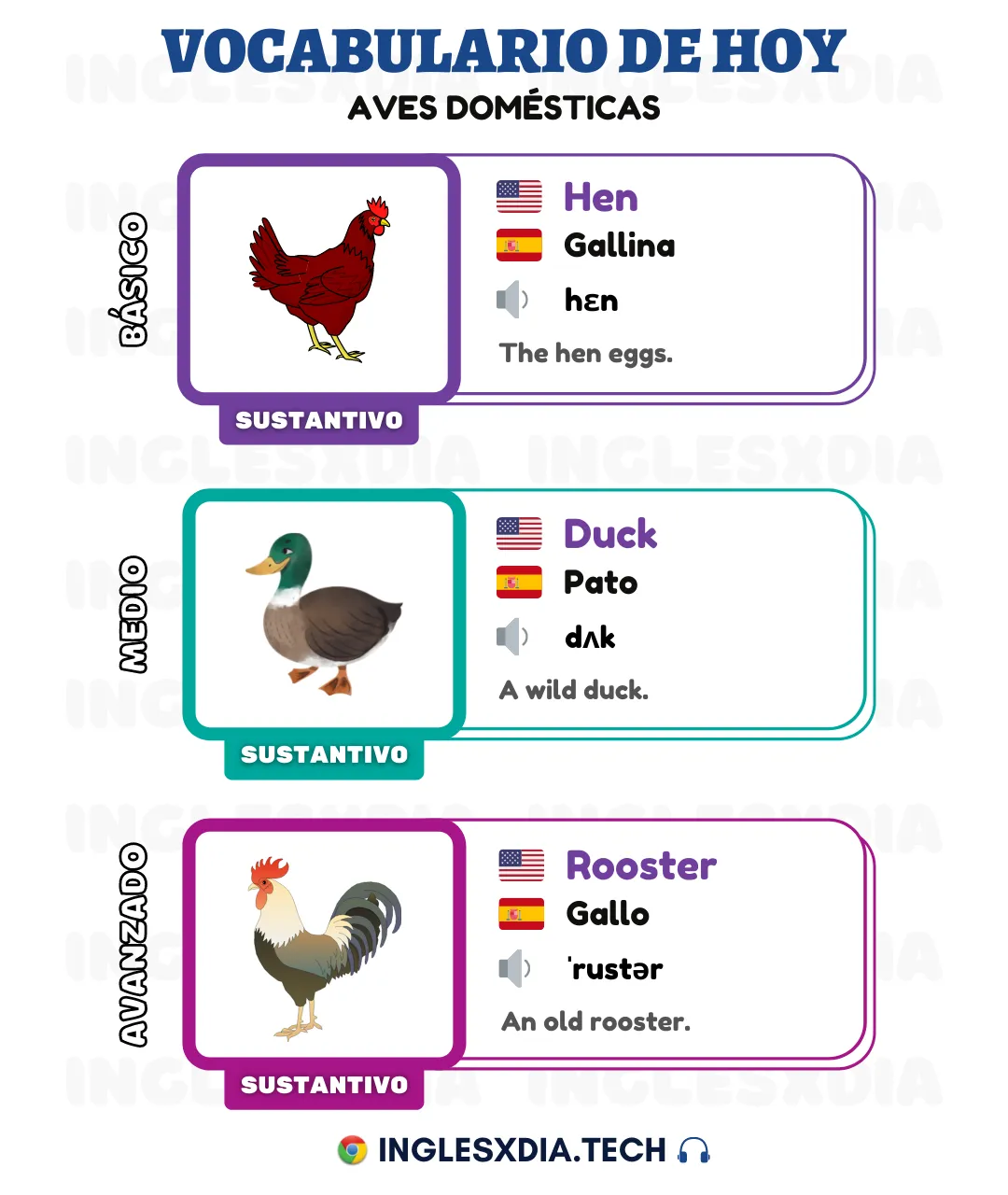 Palabras en inglés día 57