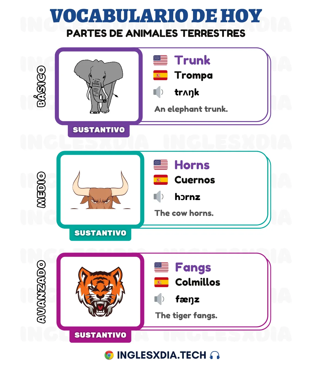 Palabras en inglés día 58