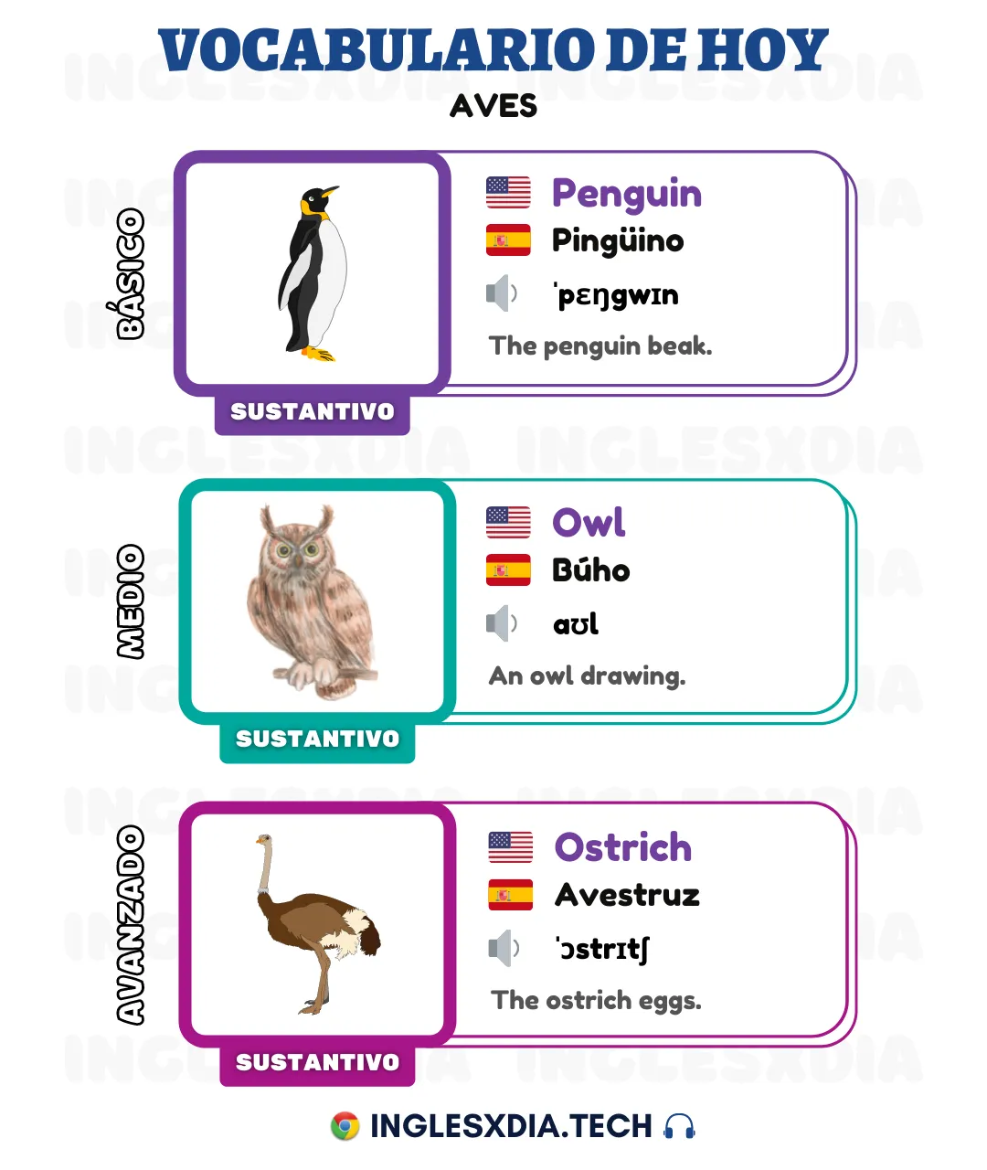 Palabras en inglés día 60