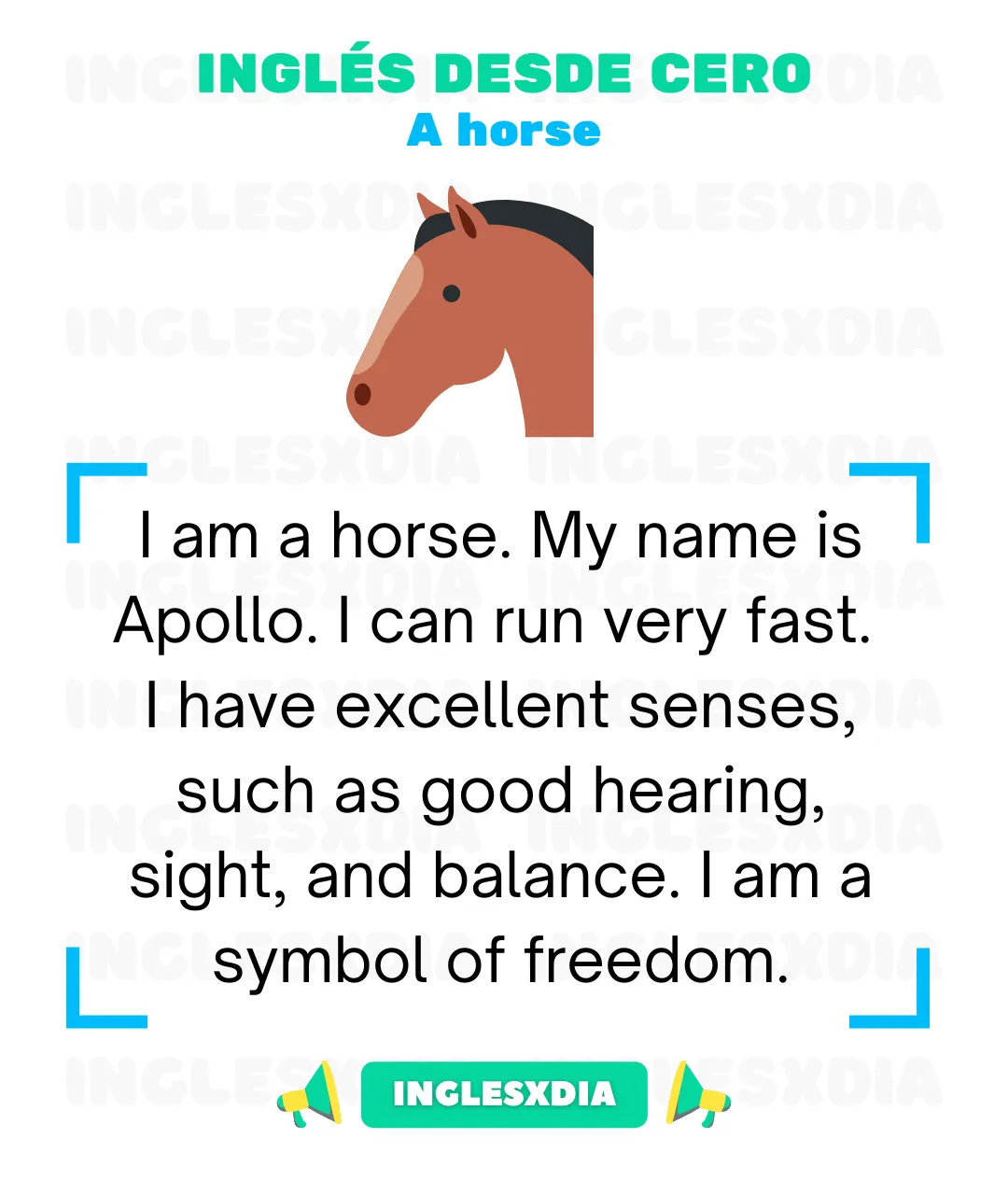 I am Apollo (517)