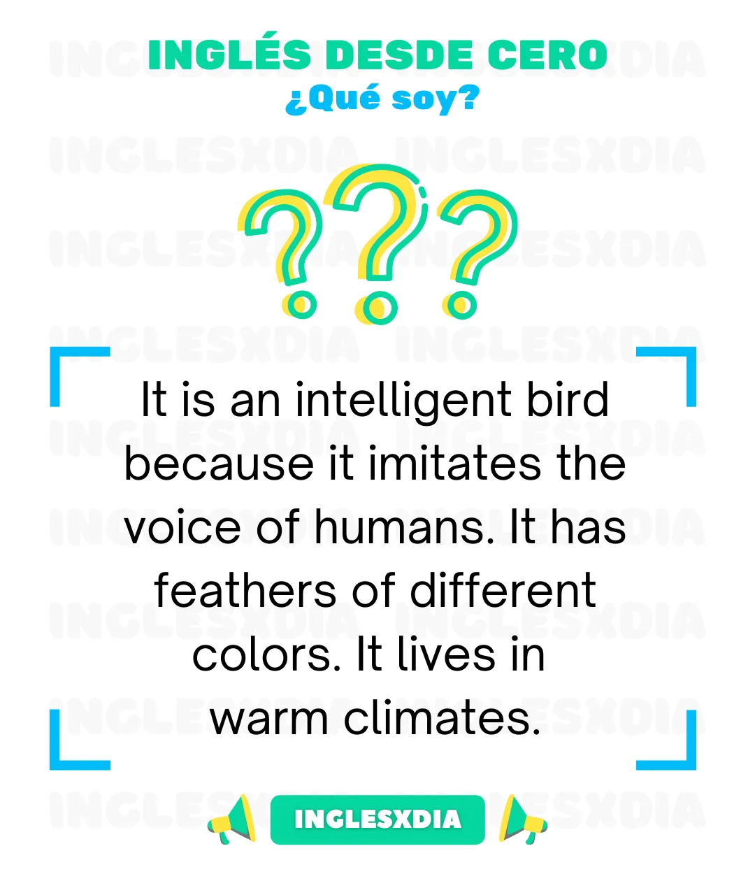 An intelligent bird (534)