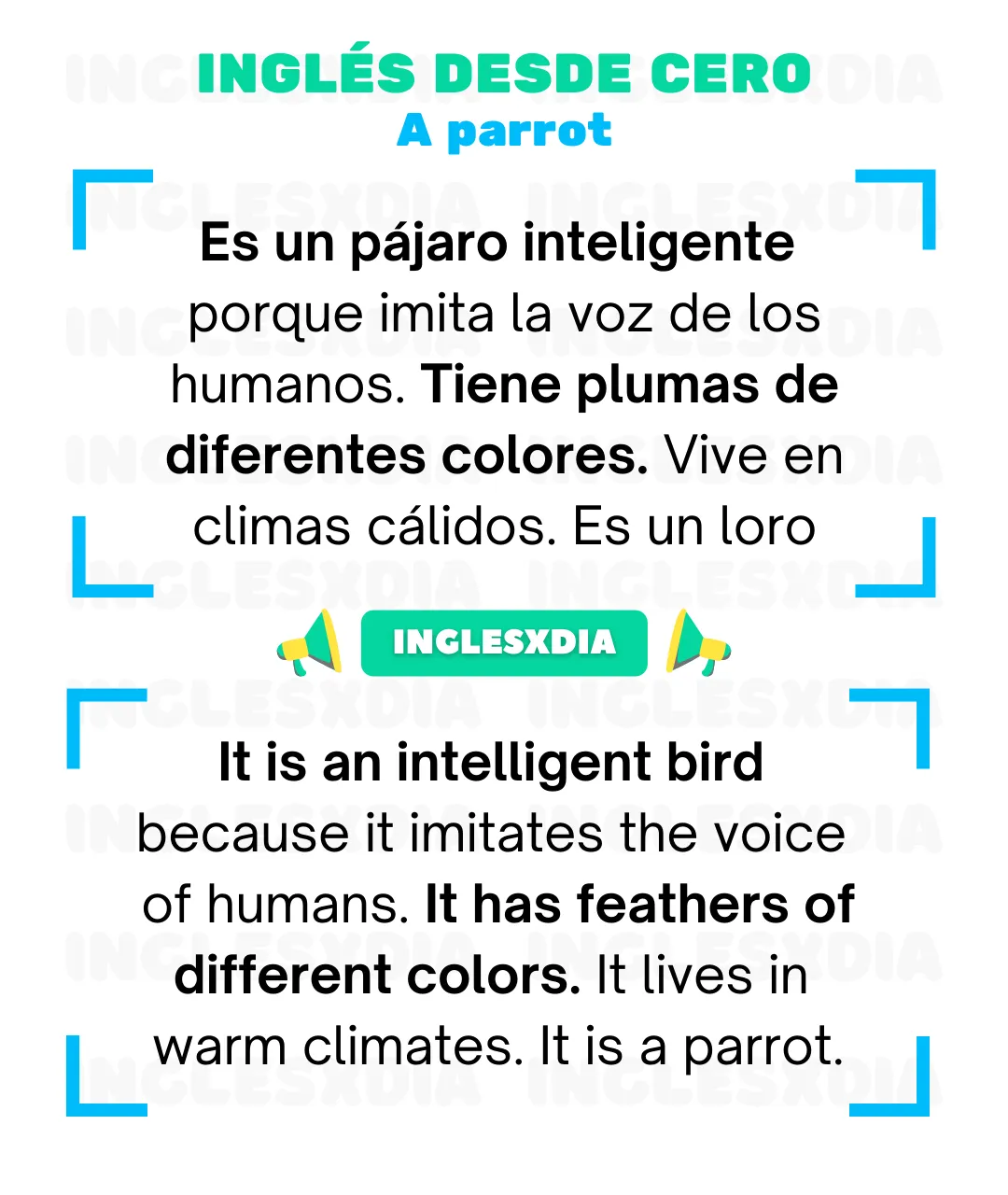 An intelligent bird (536)