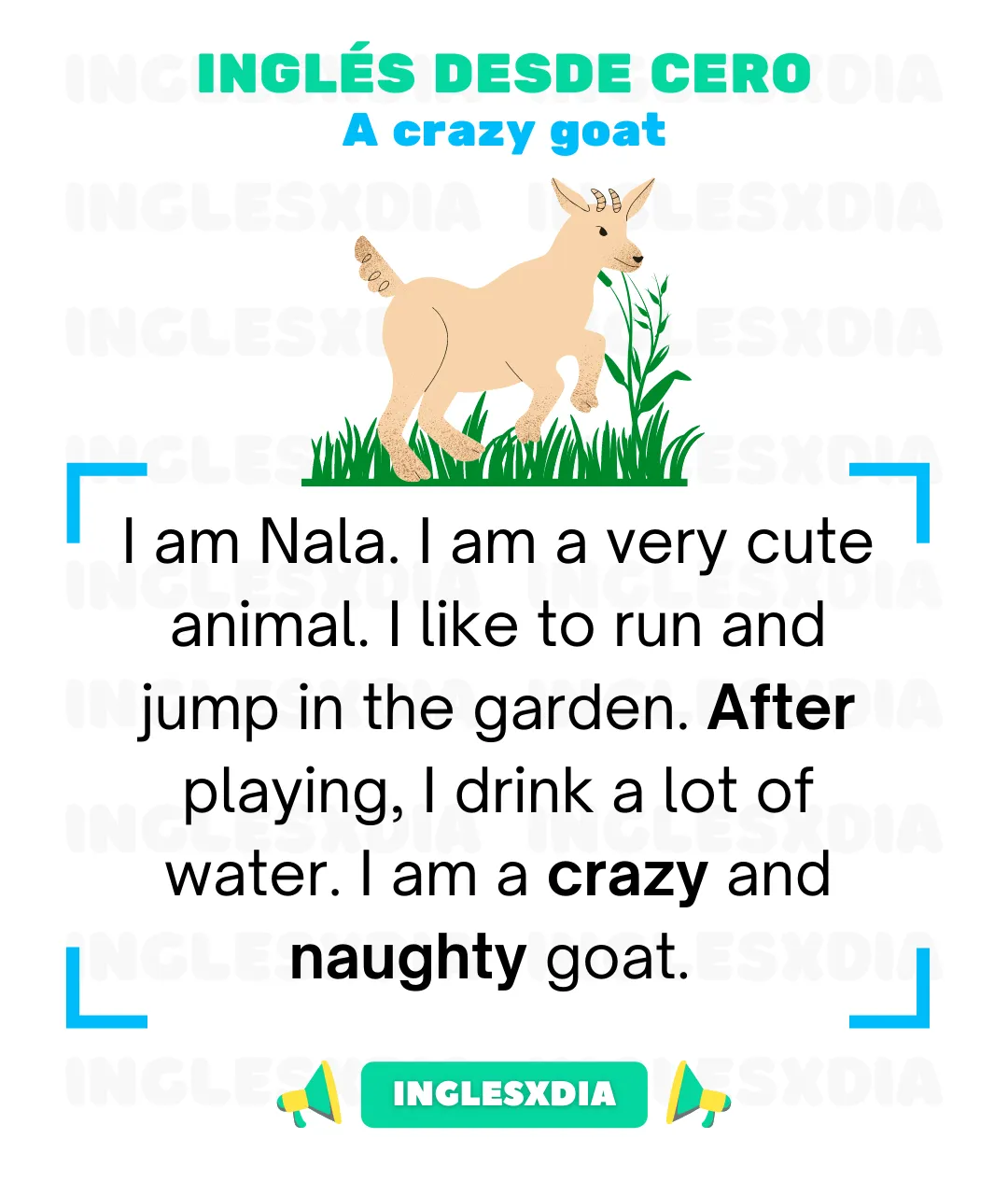 A crazy goat (631)