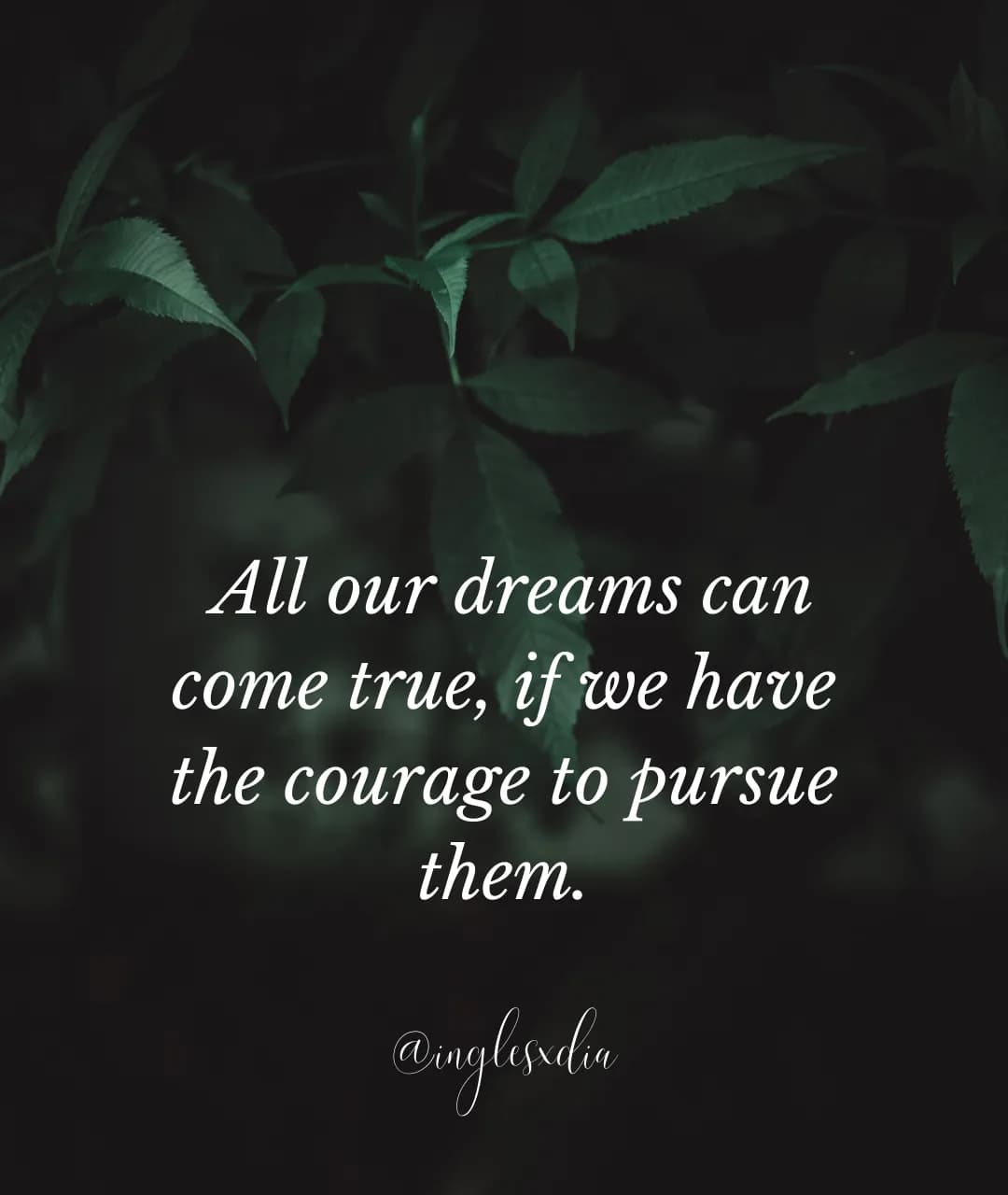 All our dreams...