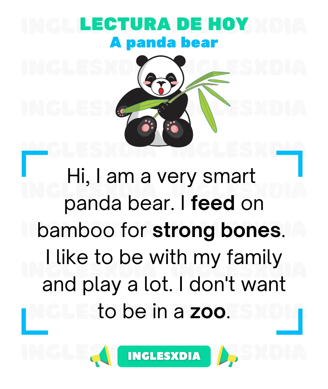 A panda bear (668)