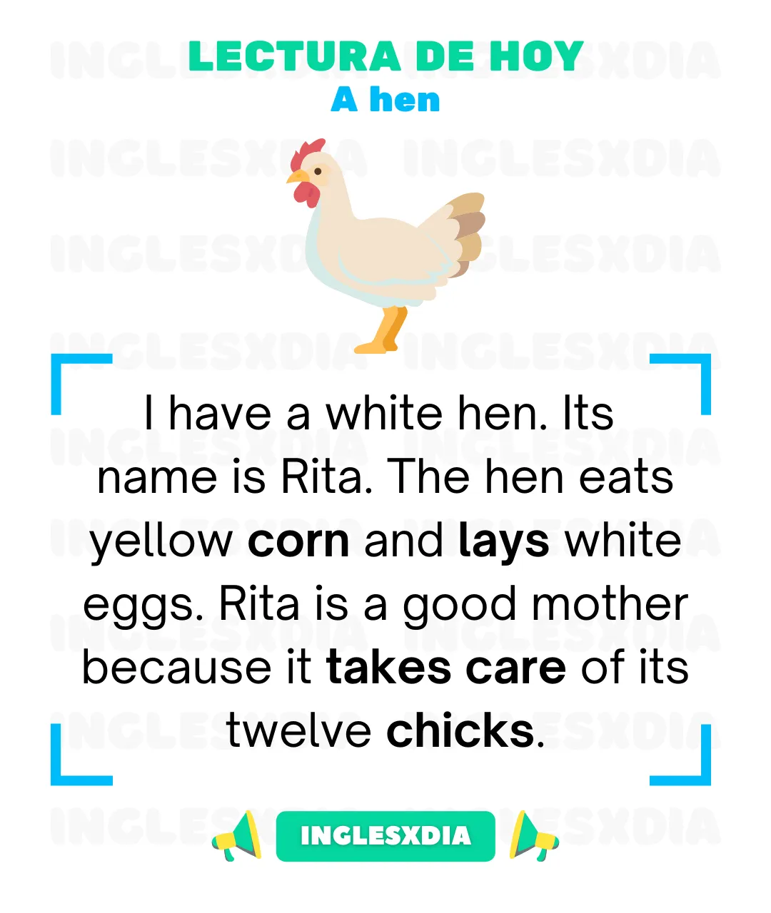 A hen