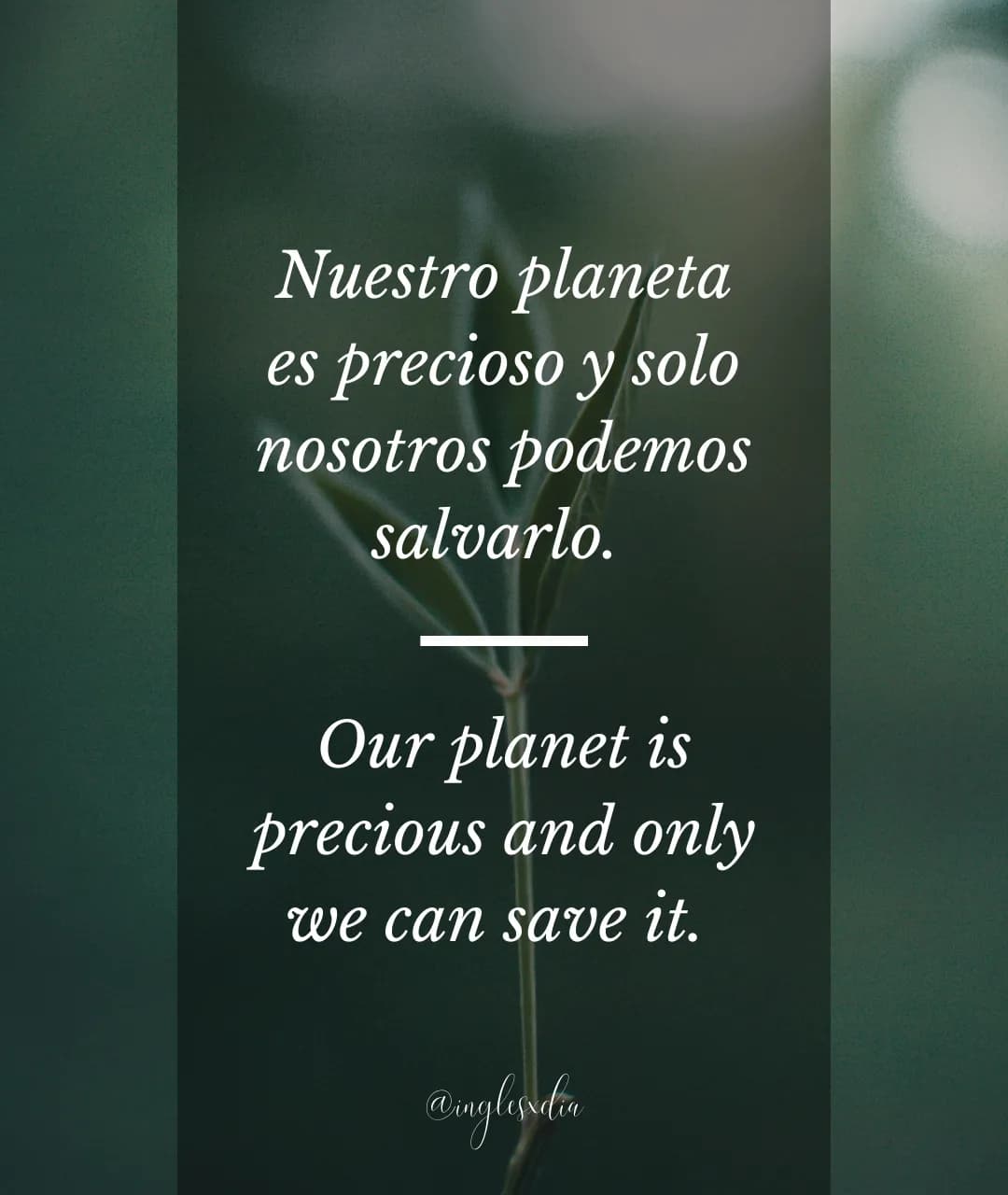 Our planet is precious... (765)