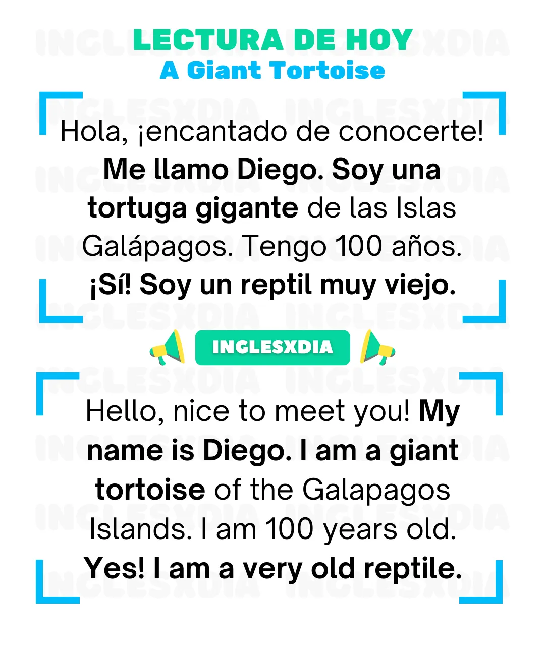 A Giant Tortoise (843)