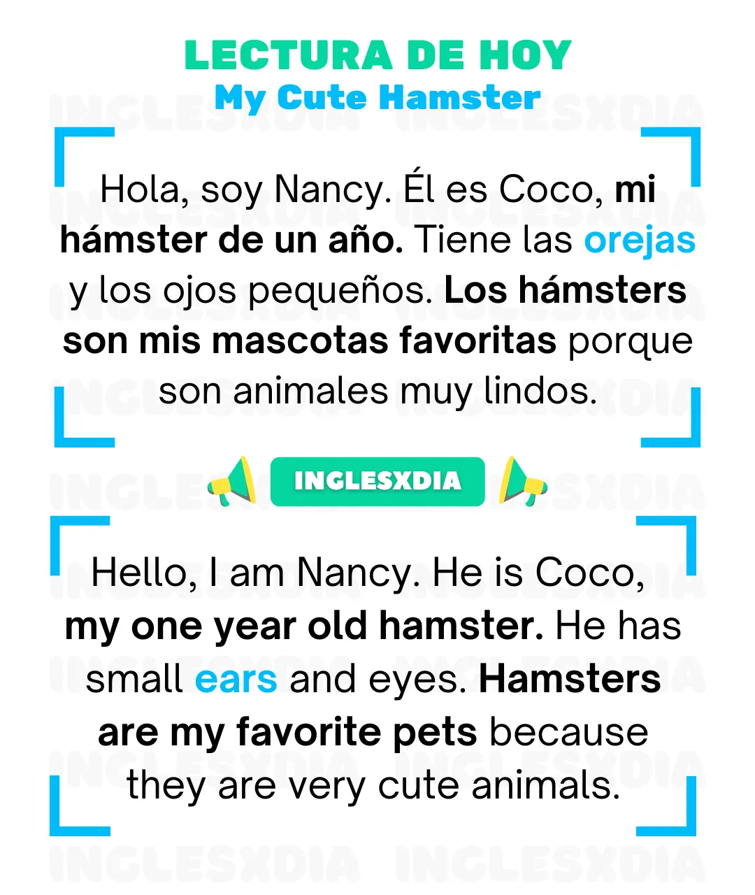 My Cute Hamster (862)