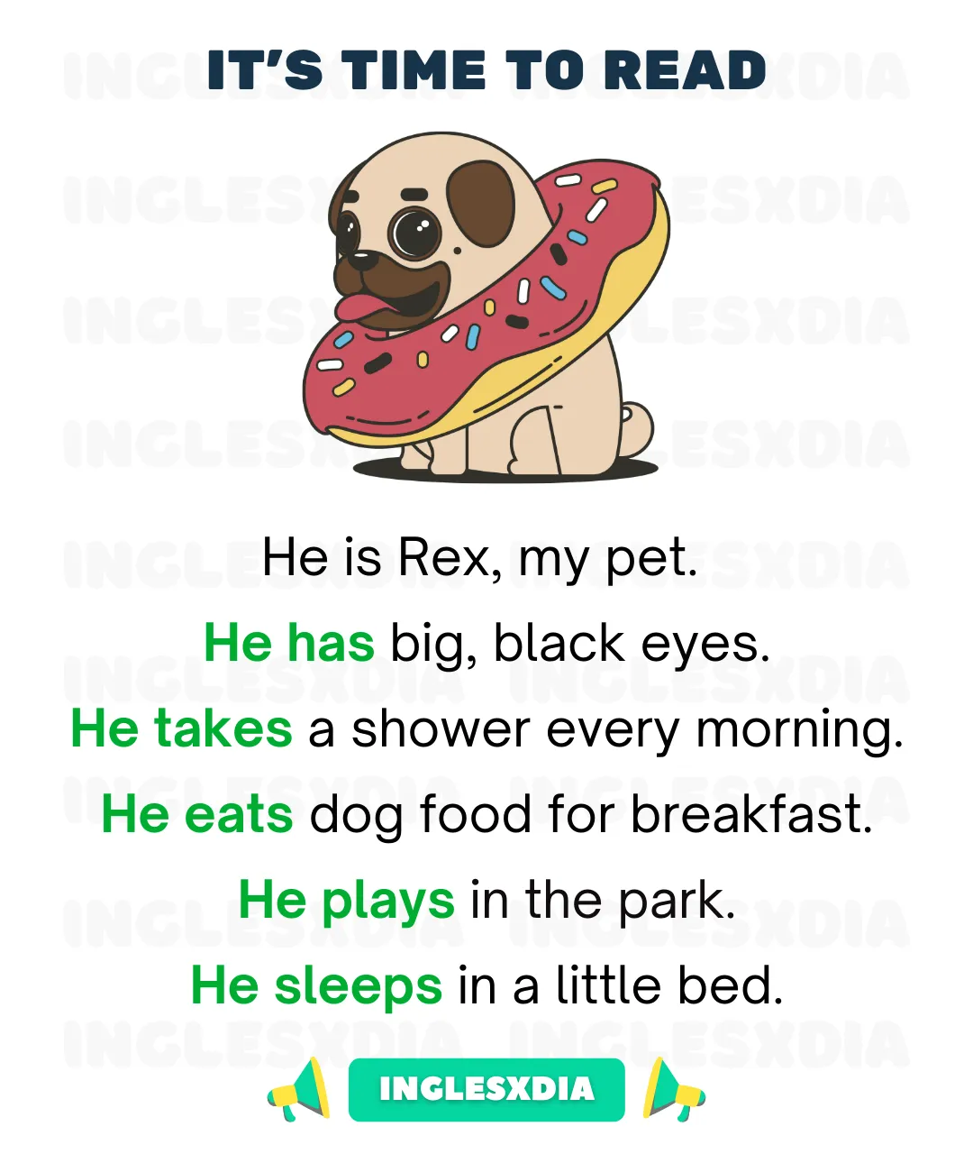 My dog's routine