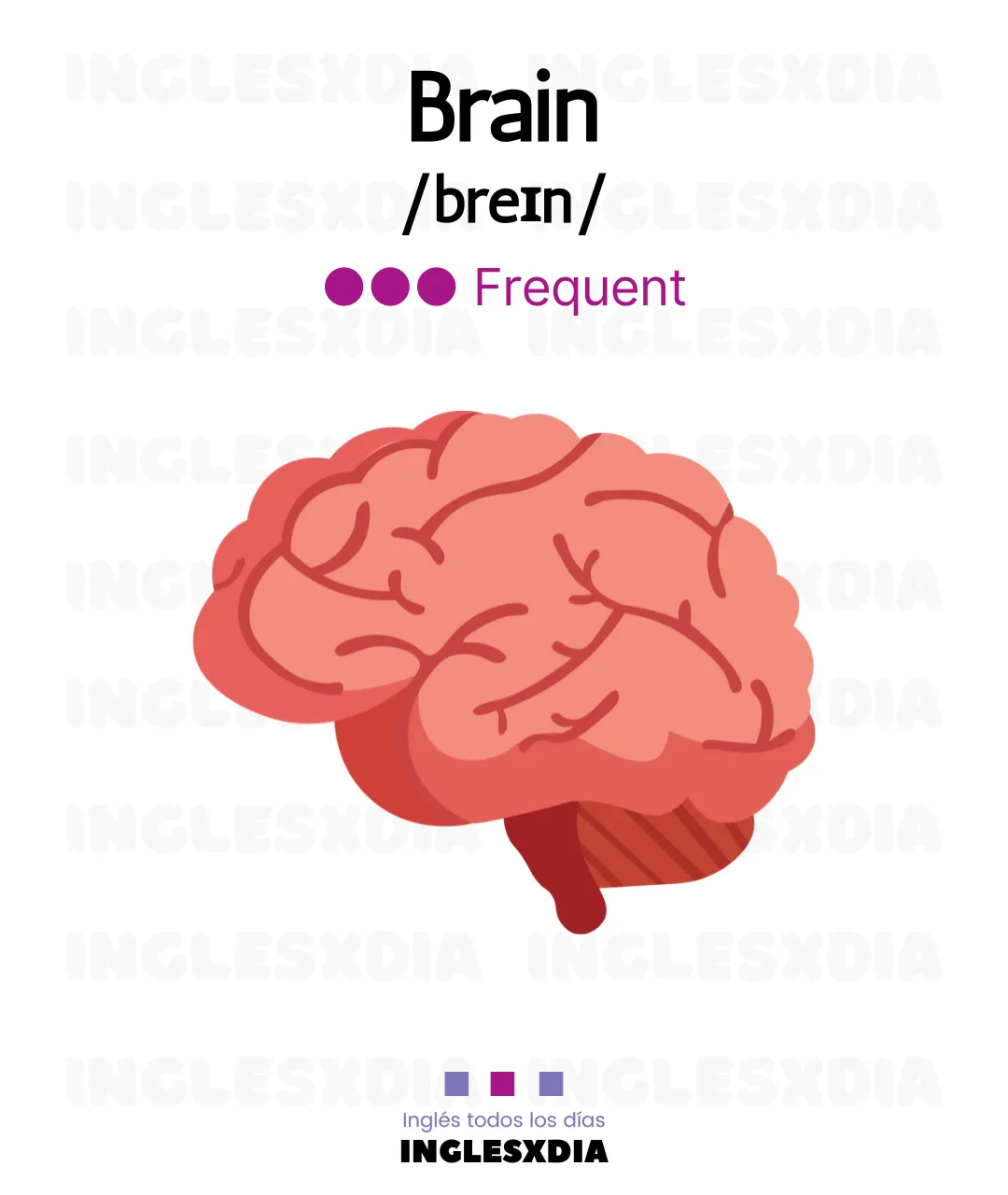 Learning English (1107)