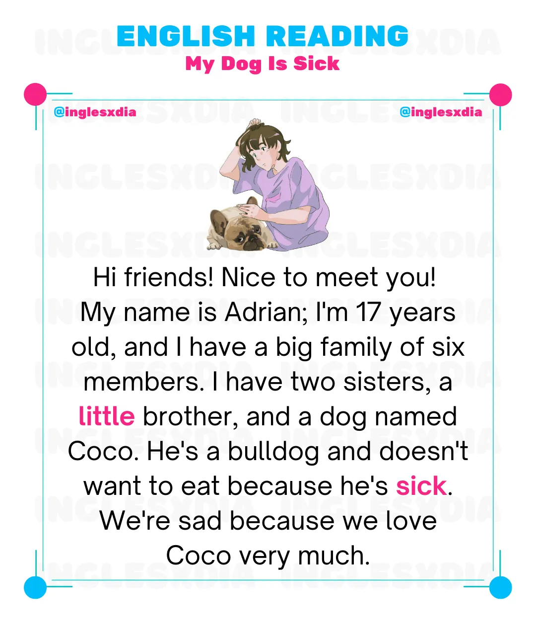 My Dog Is Sick