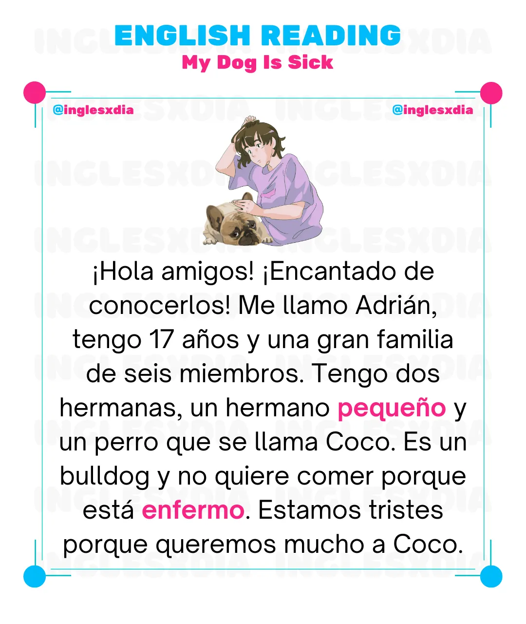 My Dog Is Sick (1342)