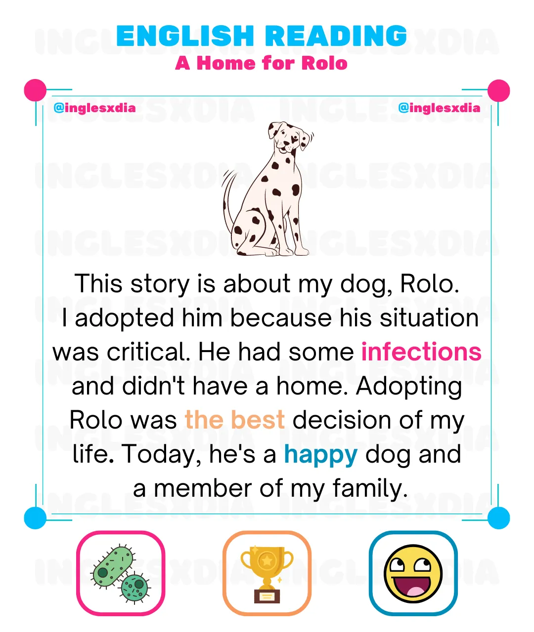 A Home for Rolo