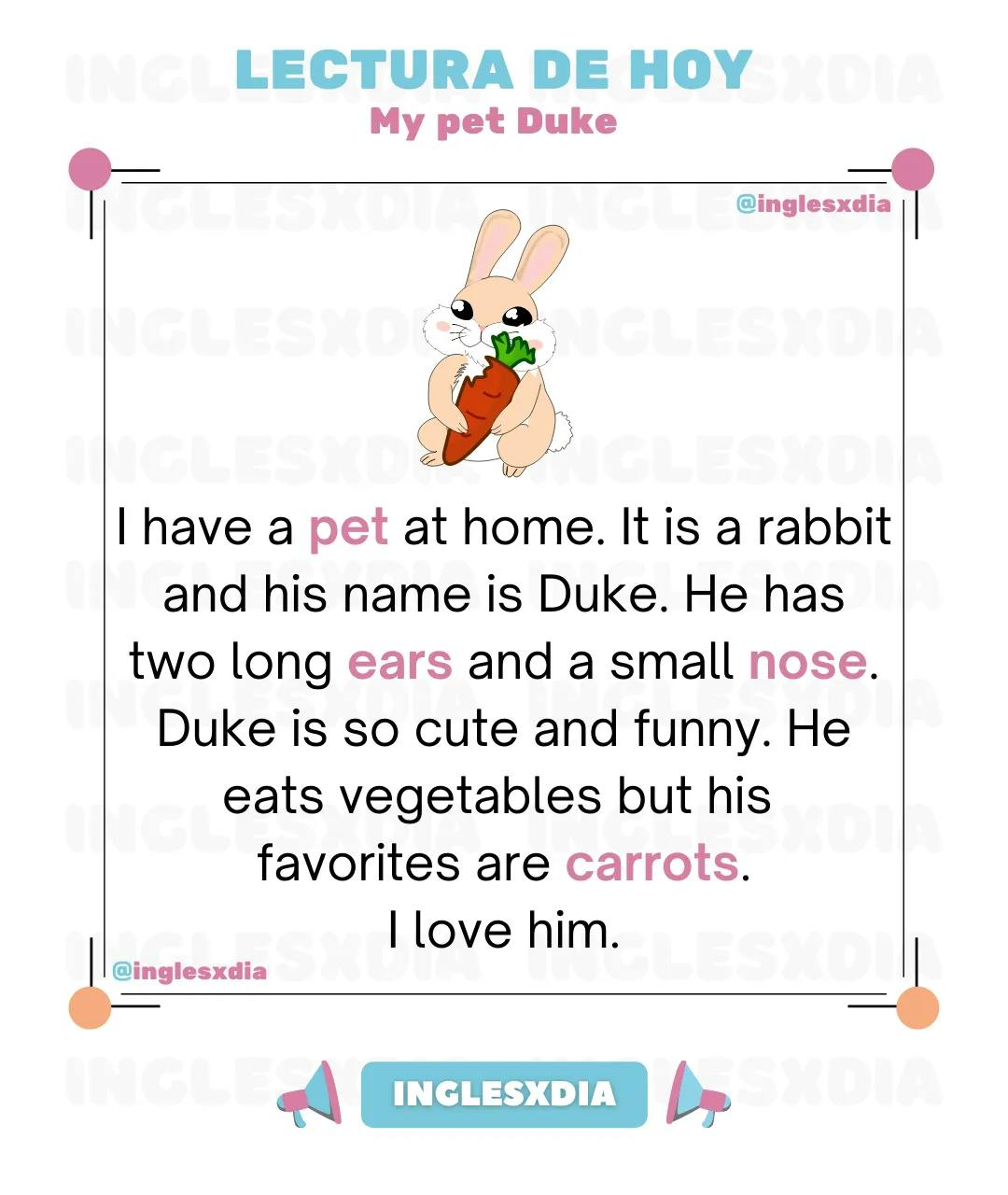 Curso de inglés en línea: Lectura corta · My pet Duke