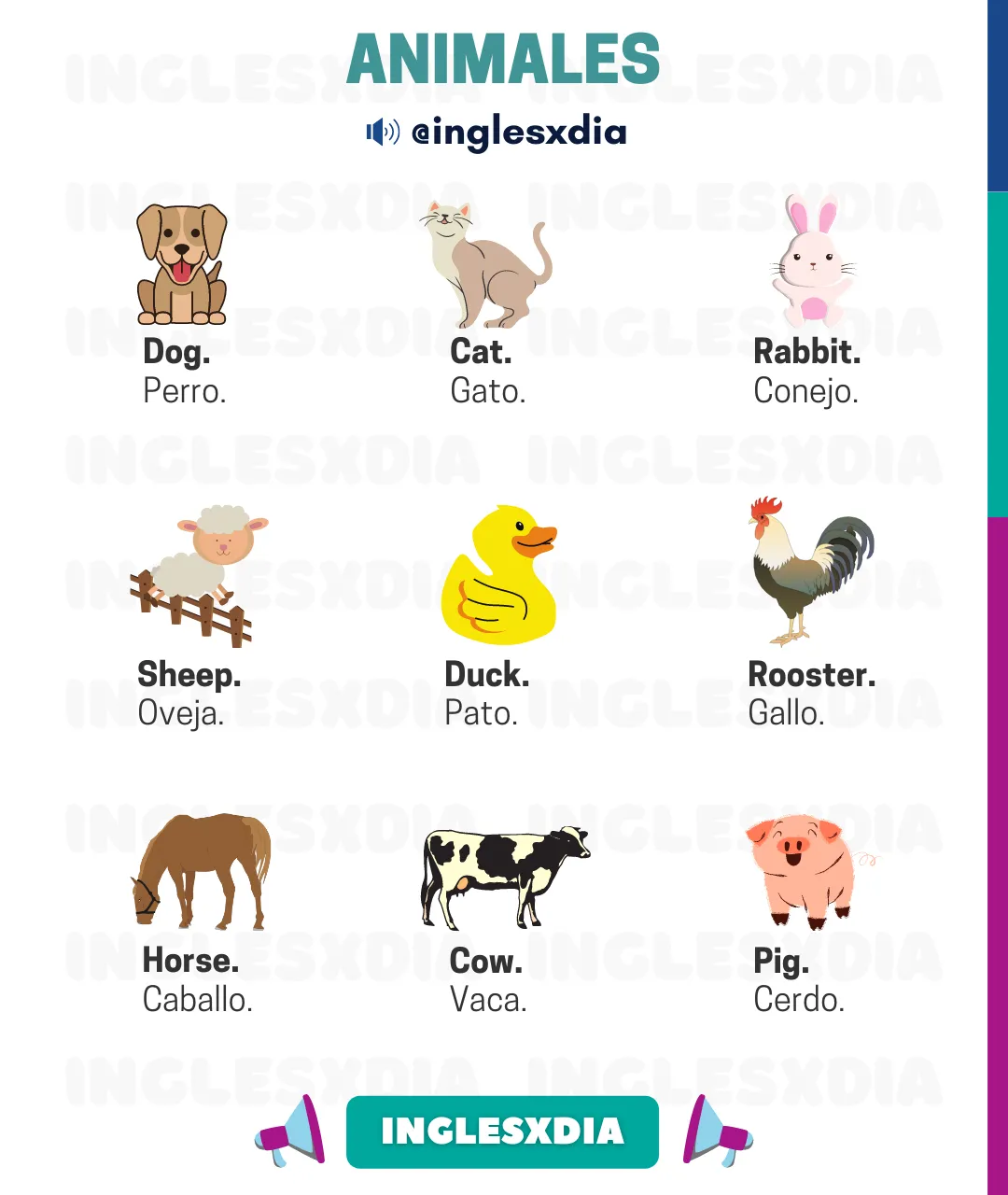 Curso de inglés en línea: animales en inglés