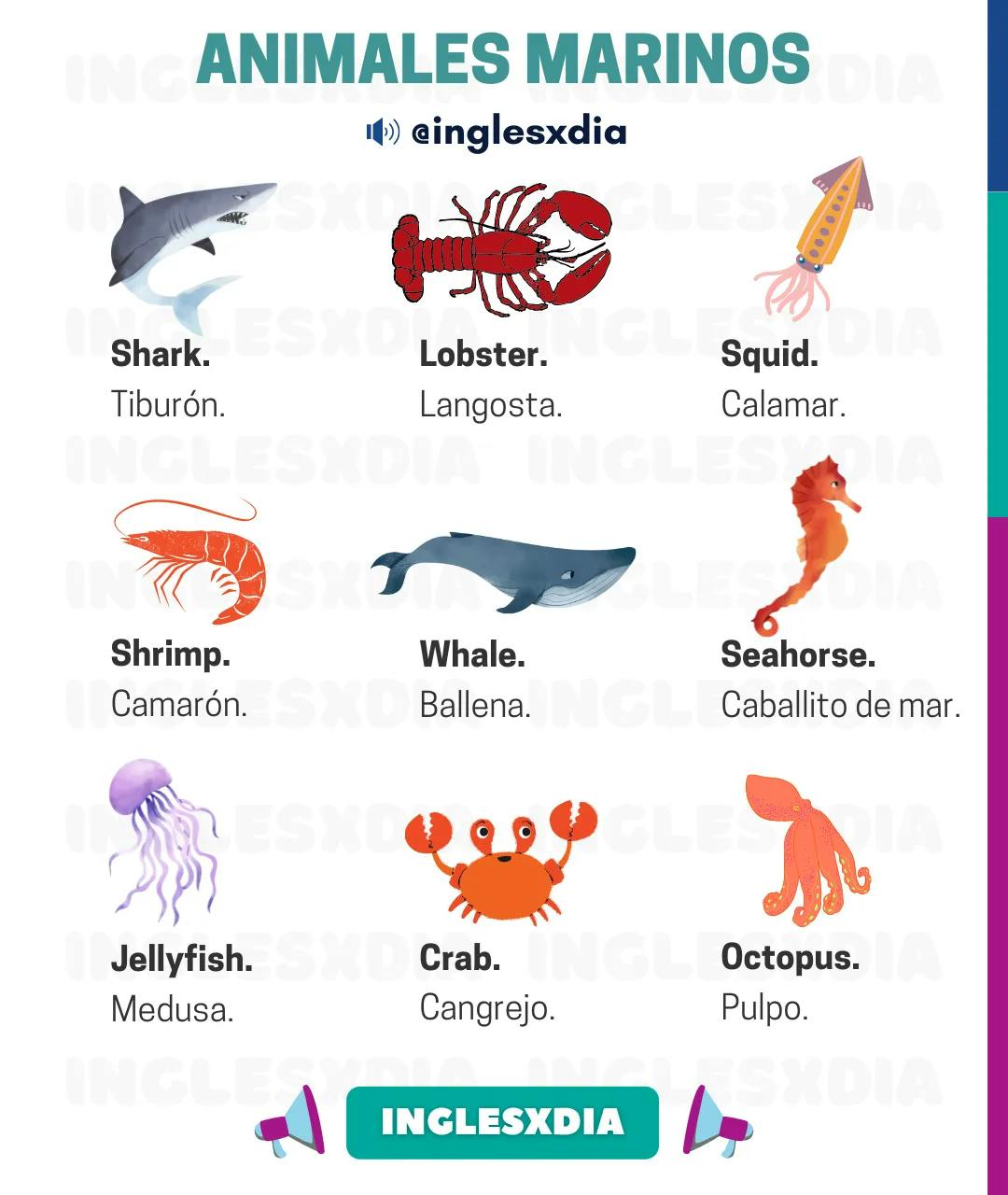 Curso de inglés en línea: animales marinos en inglés