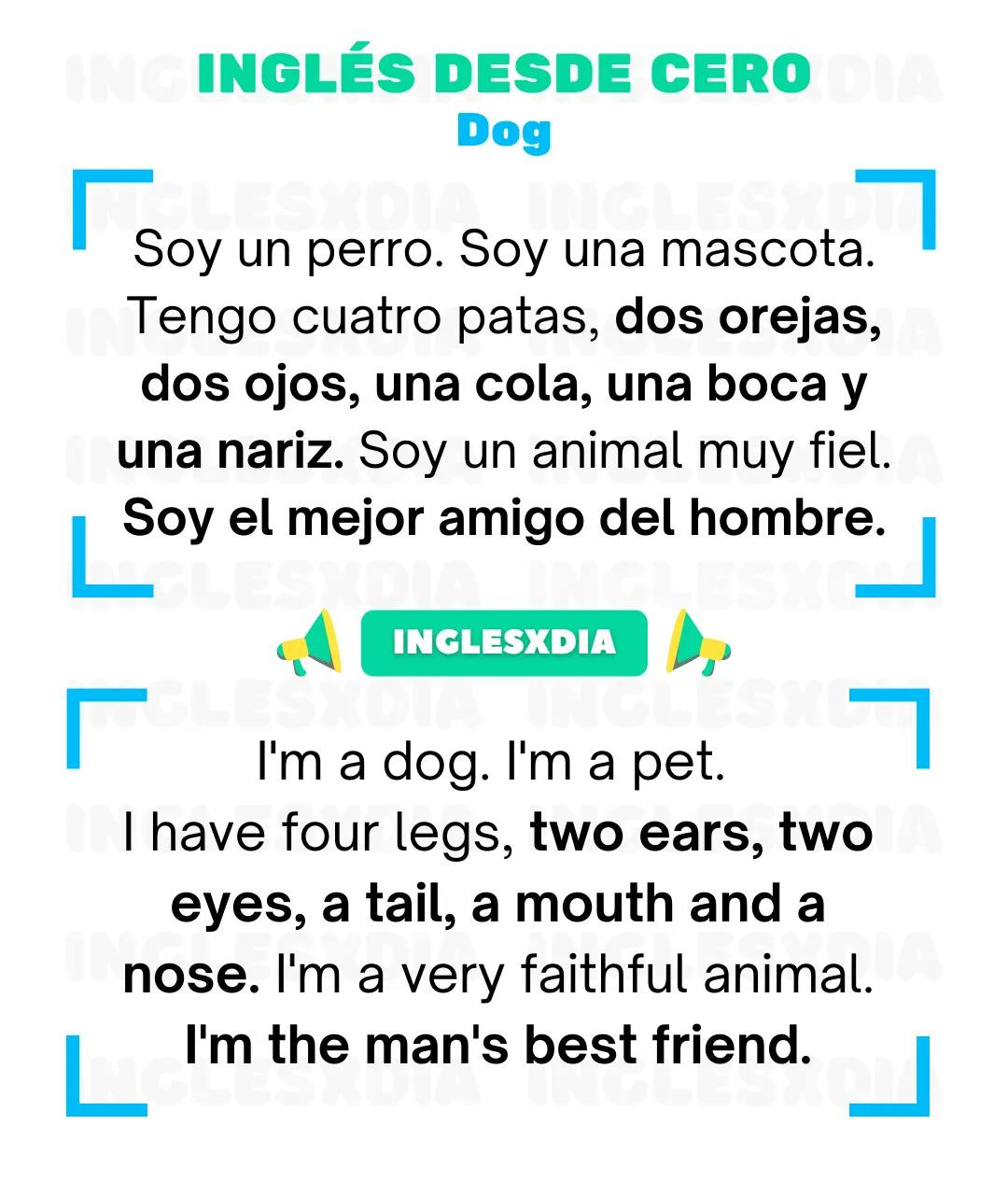 Curso de inglés en línea: Lectura básica · The dog