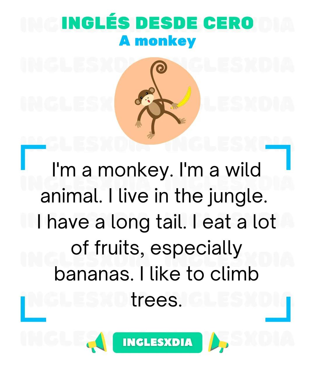Curso de inglés en línea: Lectura básica · A monkey