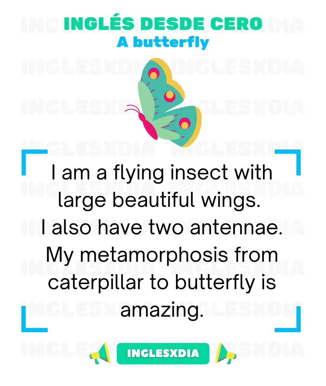 Curso de inglés en línea: Lectura básica · A butterfly