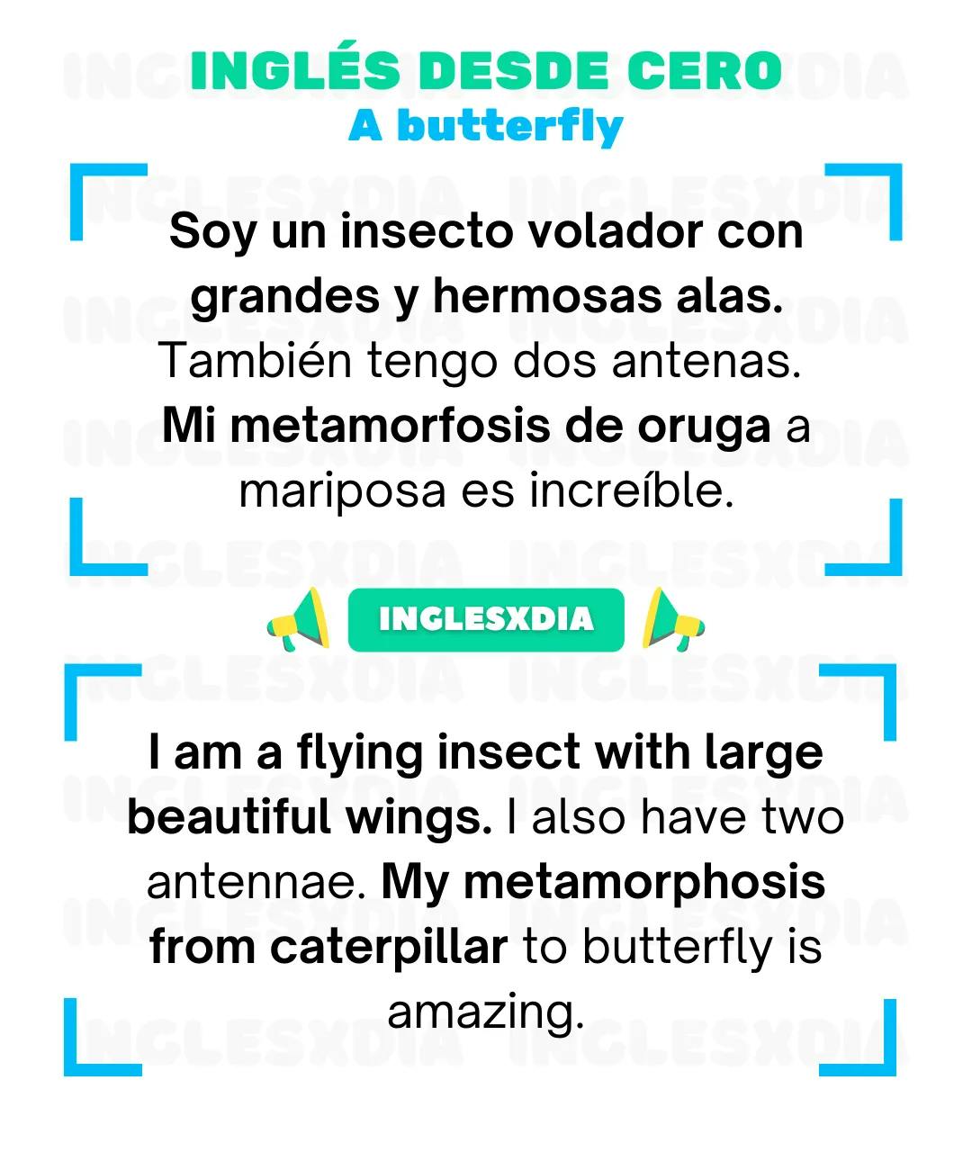 Curso de inglés en línea: Lectura básica · A butterfly