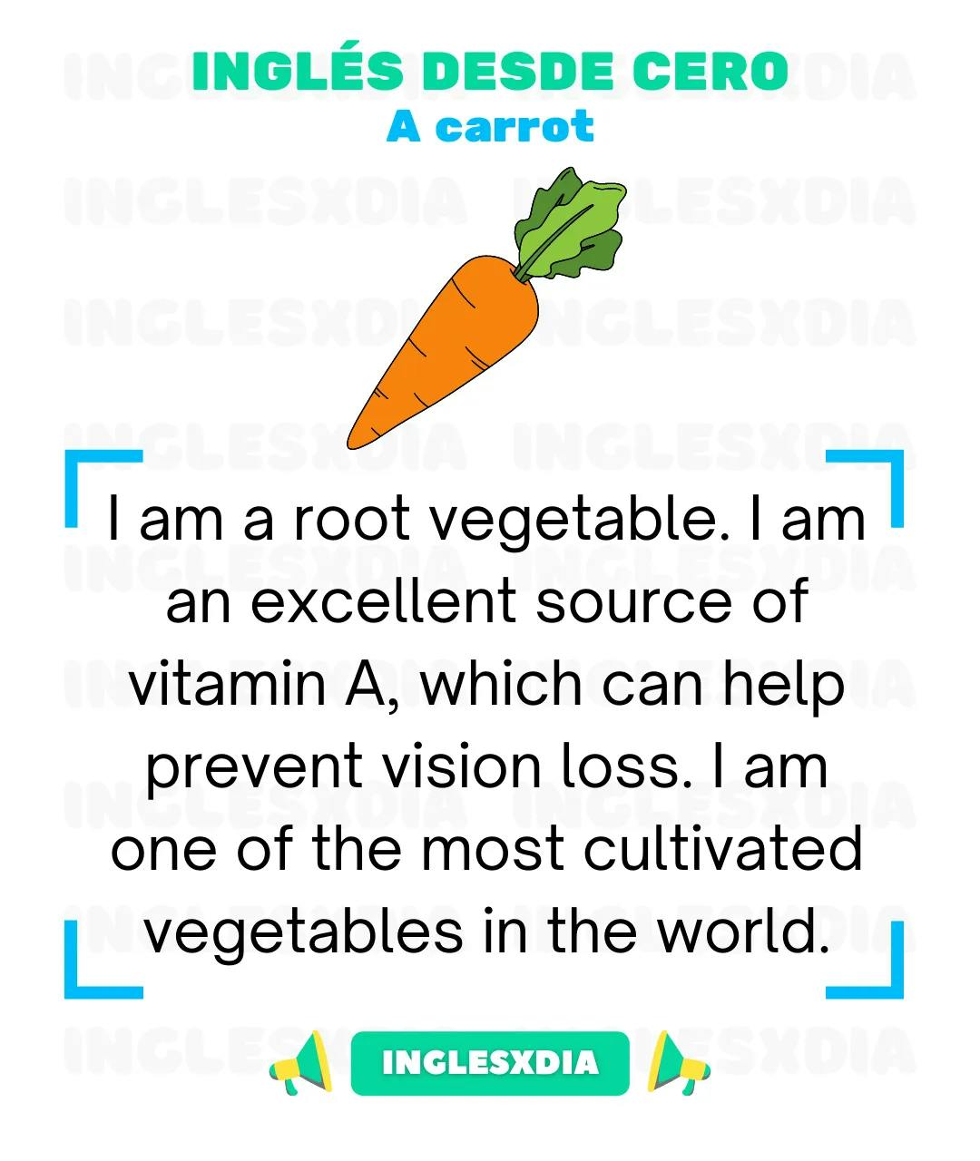 Curso de inglés en línea: Lectura básica · A root vegetable