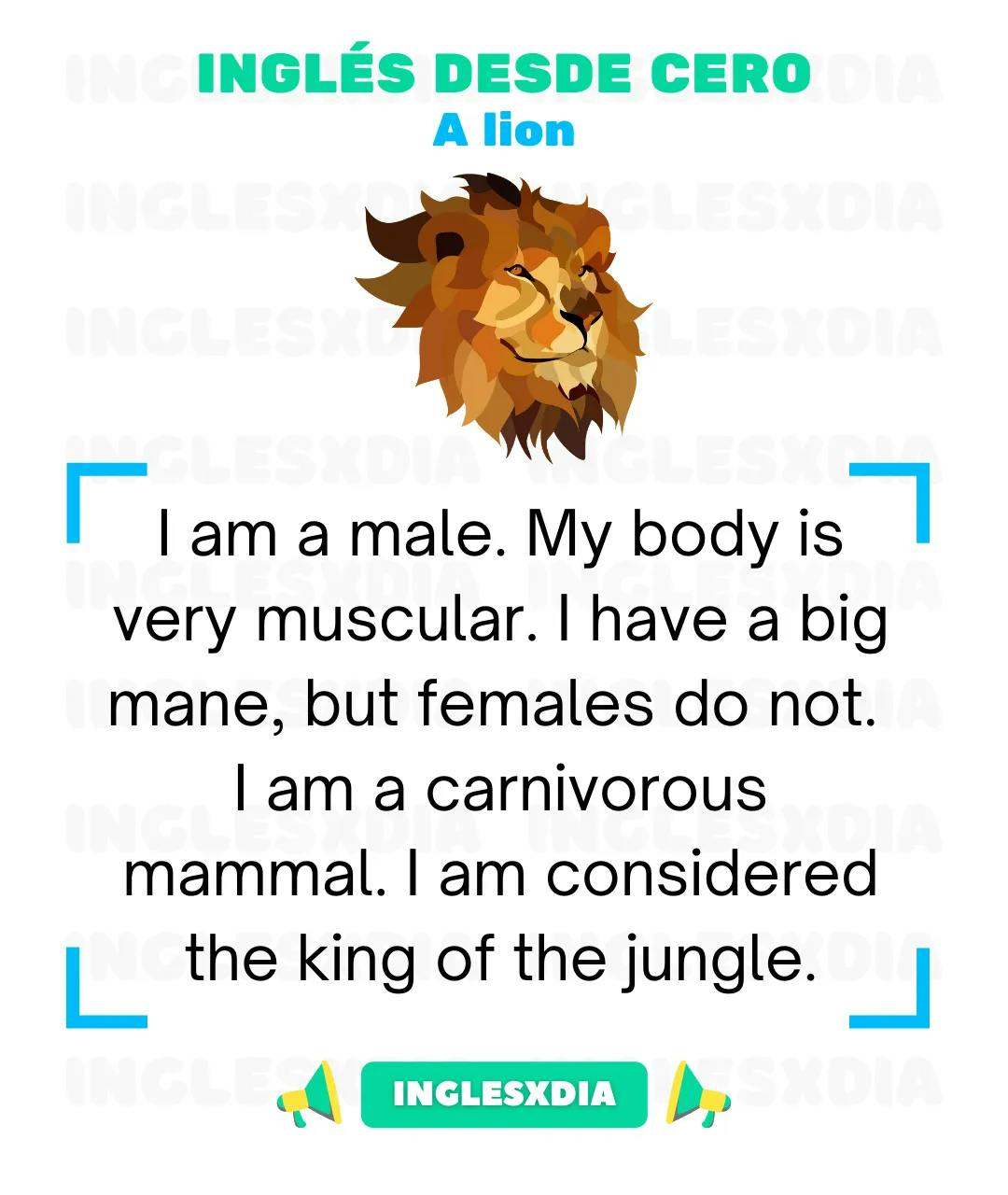 Curso de inglés en línea: Lectura básica · A lion