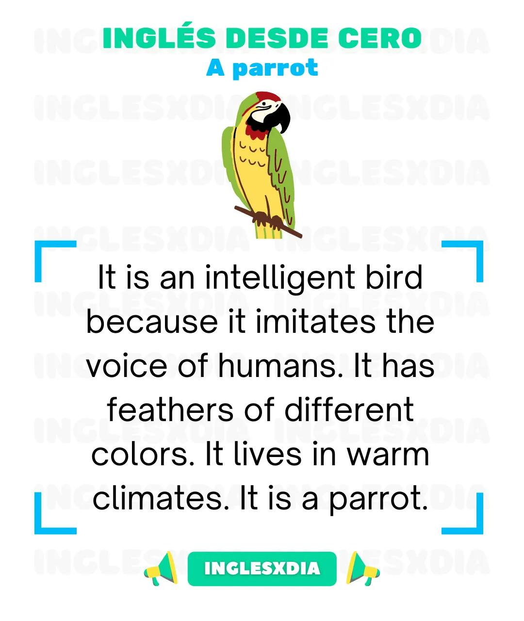Curso de inglés en línea: Lectura básica · An intelligent bird