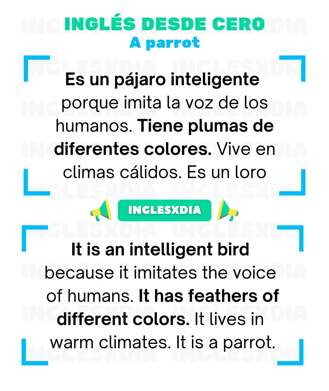 Curso de inglés en línea: Lectura básica · An intelligent bird