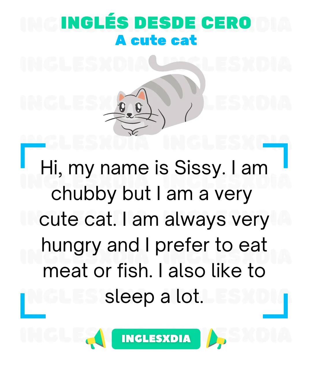 Curso de inglés en línea: Lectura básica · A cute cat
