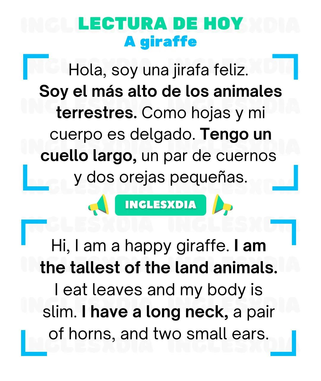 Curso de inglés en línea: Lectura básica · A giraffe