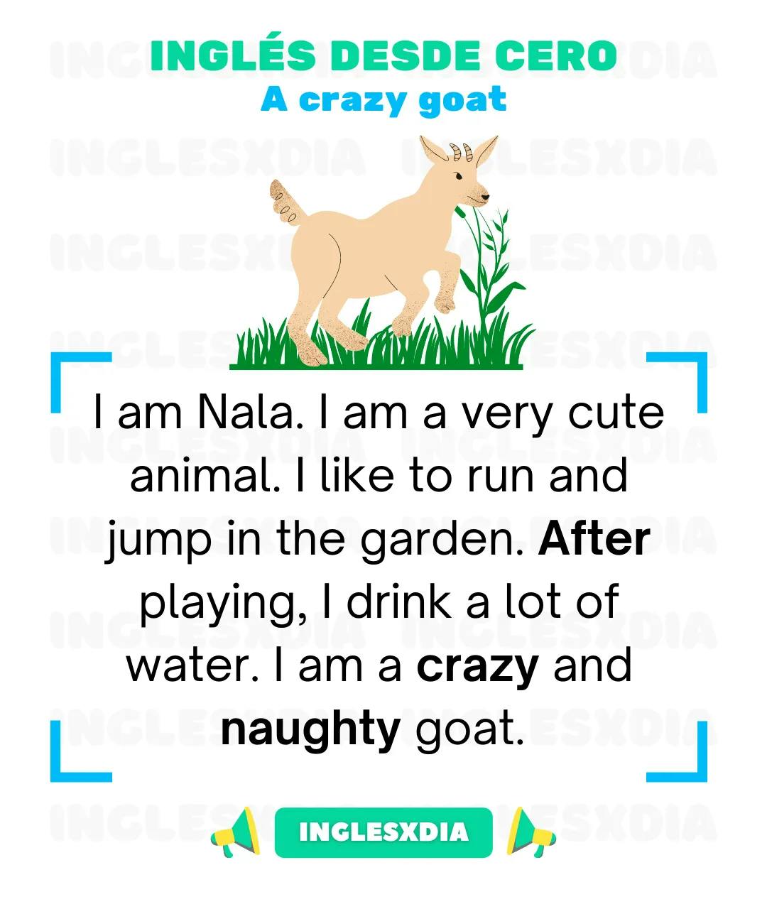 Curso de inglés en línea: Lectura básica · A crazy goat