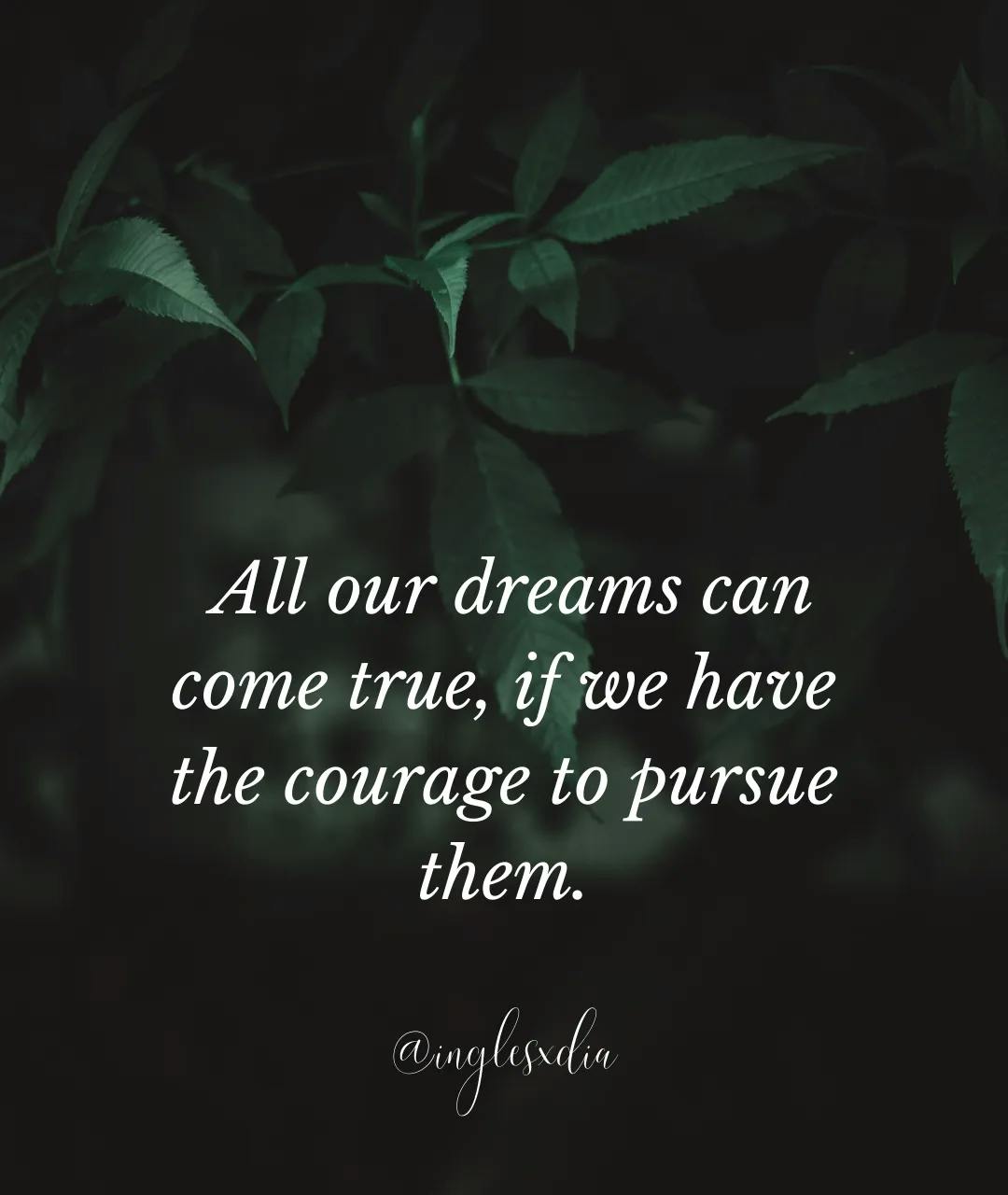 All our dreams...