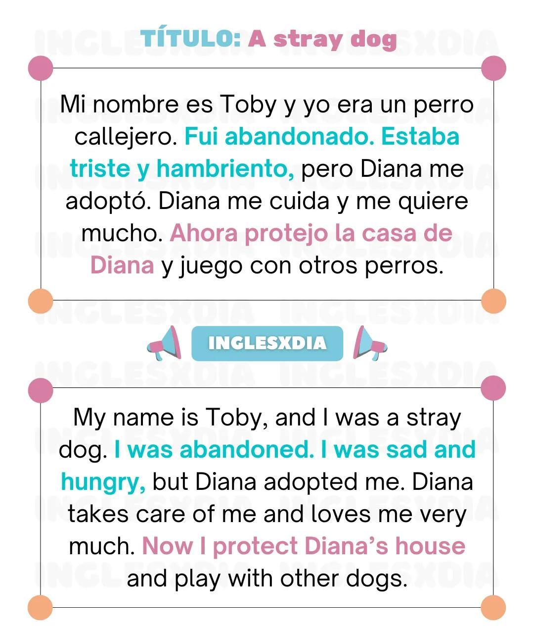 Curso de inglés en línea: Lectura corta· A stray dog