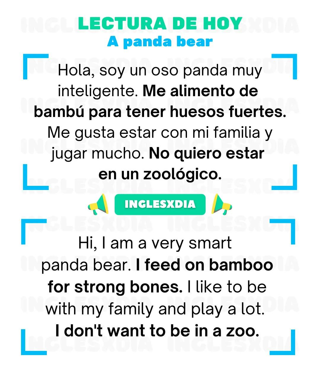 Curso de inglés en línea: Lectura básica · A panda bear