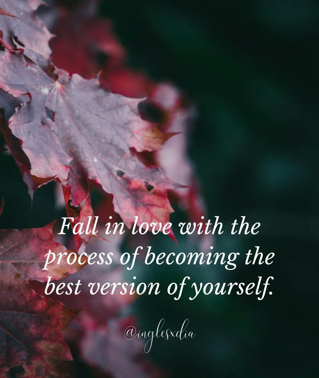 Frases motivadoras en inglés: Fall in love with  the process of becoming the best version of yourself.
