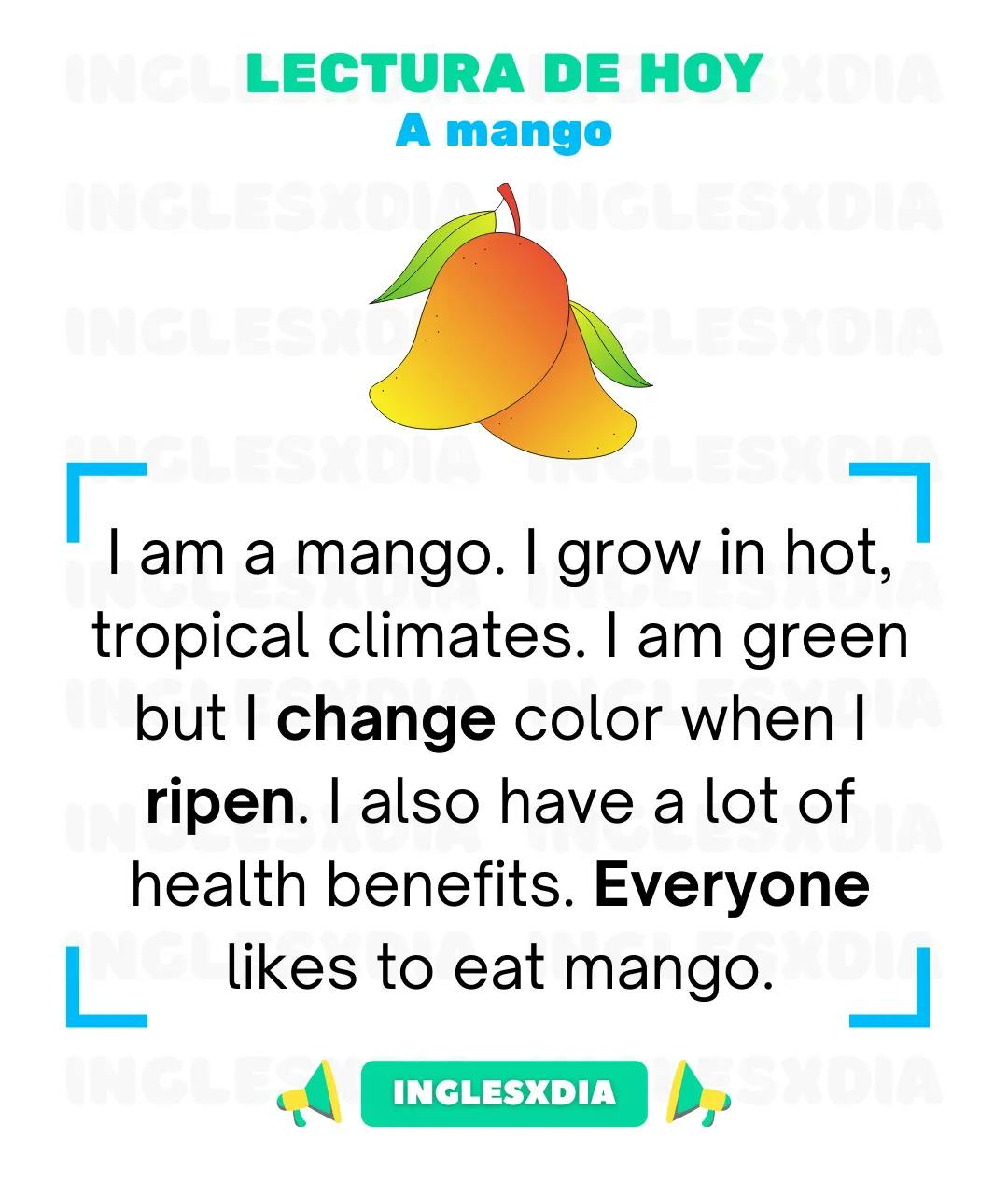Curso de inglés en línea: Lectura básica · A mango
