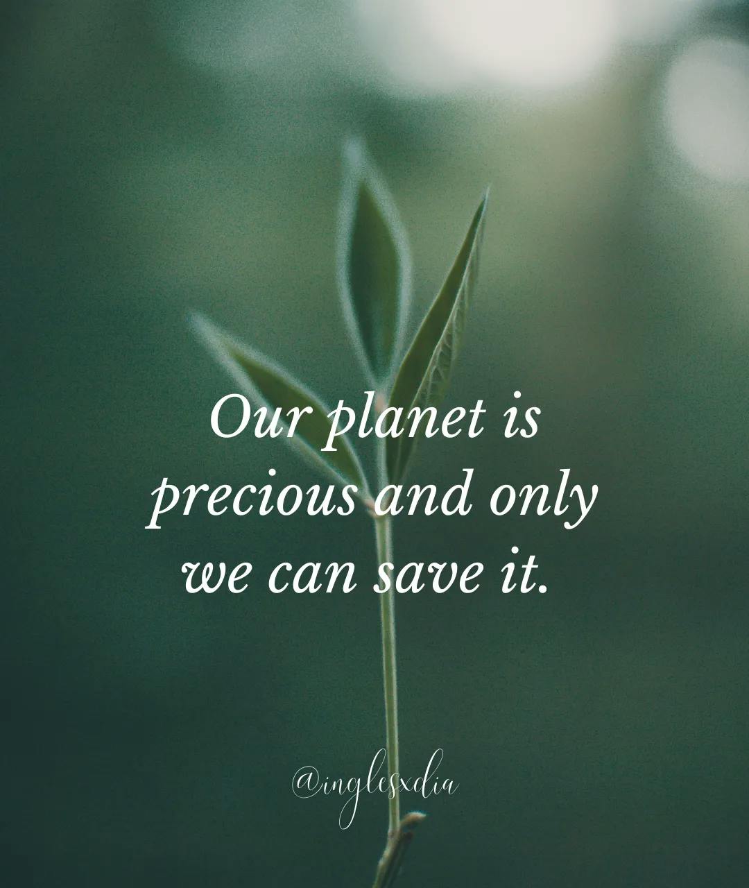 Frases motivadoras en inglés:  Our planet is precious and only we can save it