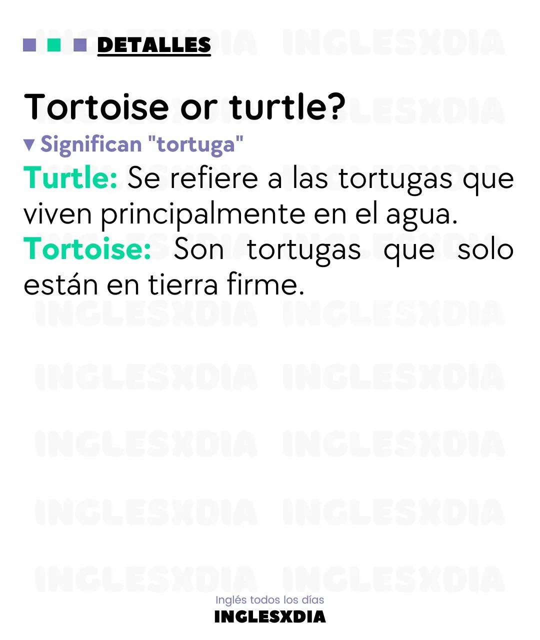 Curso de inglés en línea: Lectura básica · A Giant Tortoise