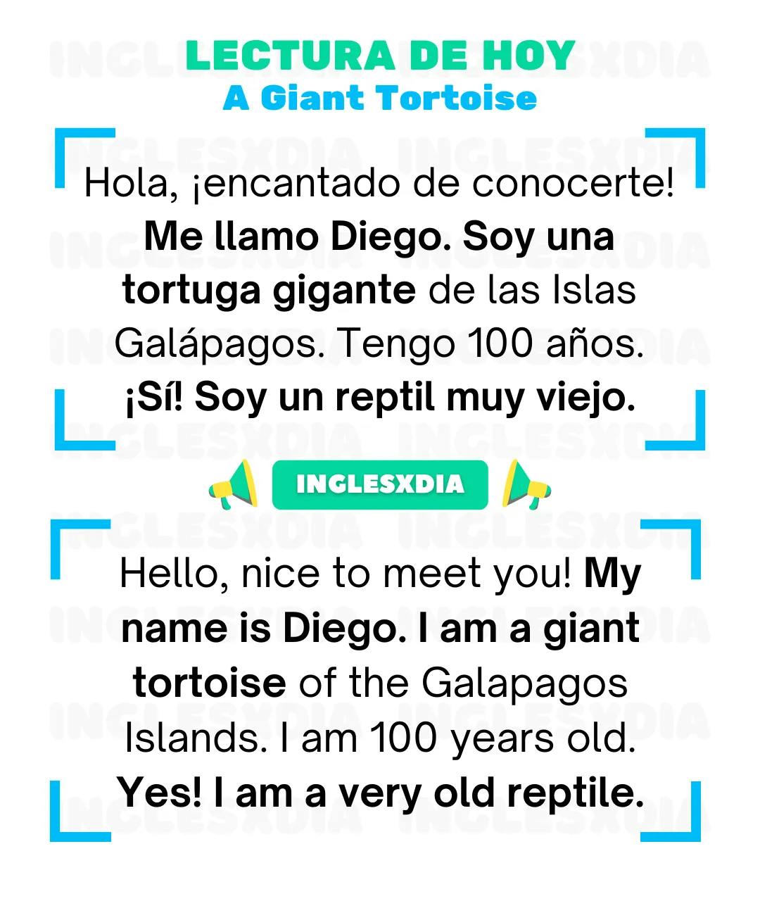 Curso de inglés en línea: Lectura básica · A Giant Tortoise