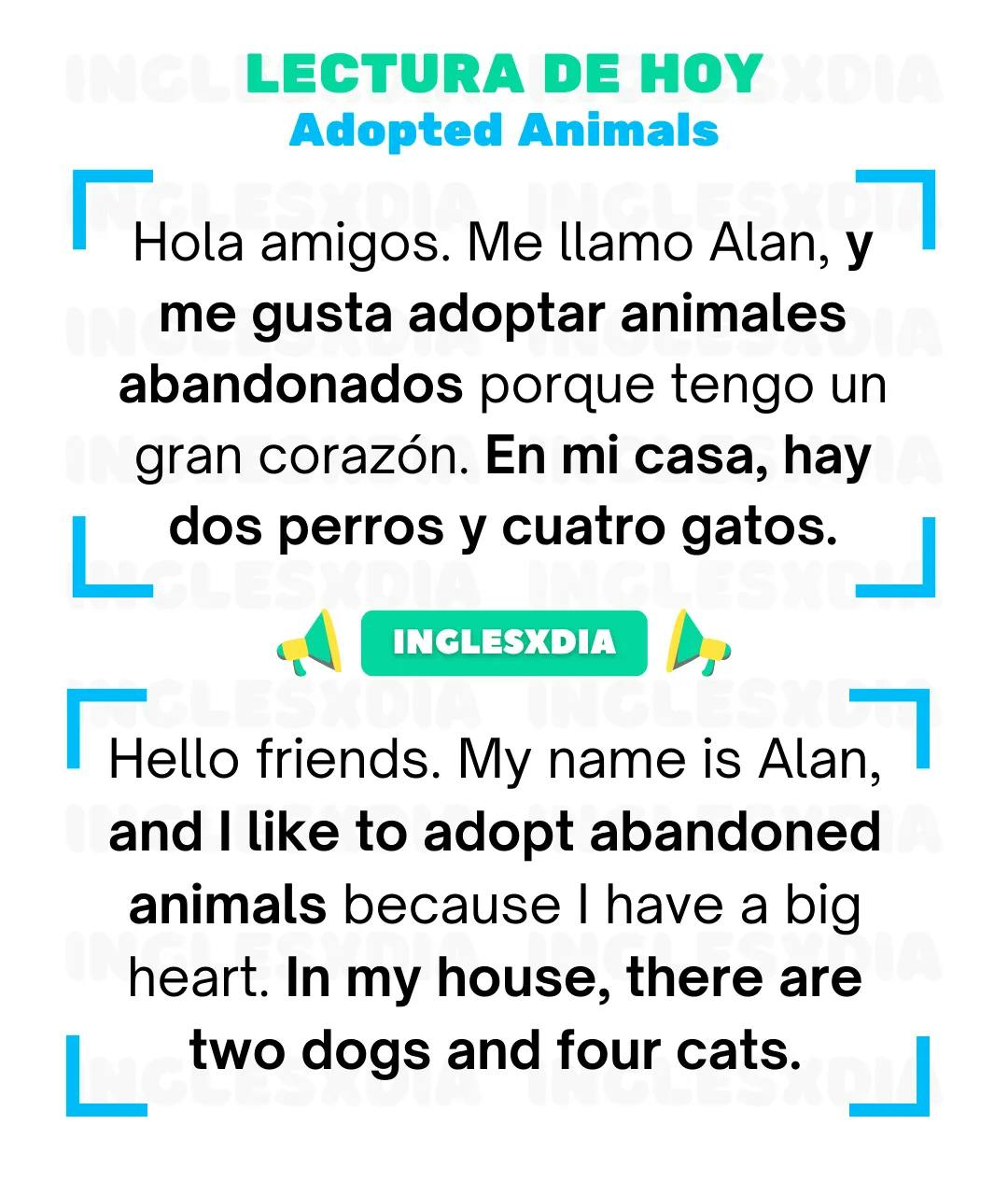 Curso de inglés en línea: Lectura básica · Adopted Animals