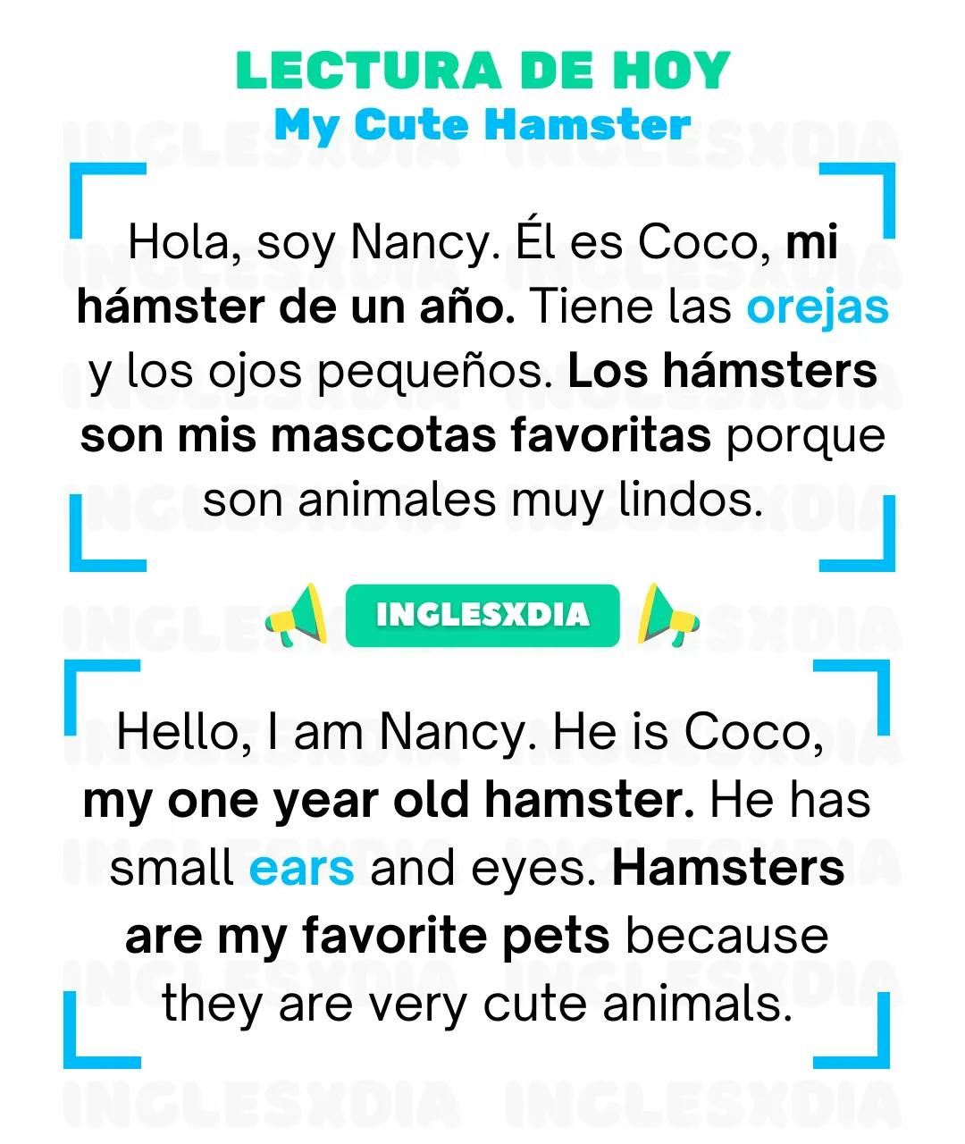 Curso de inglés en línea: Lectura básica · My Cute Hamster