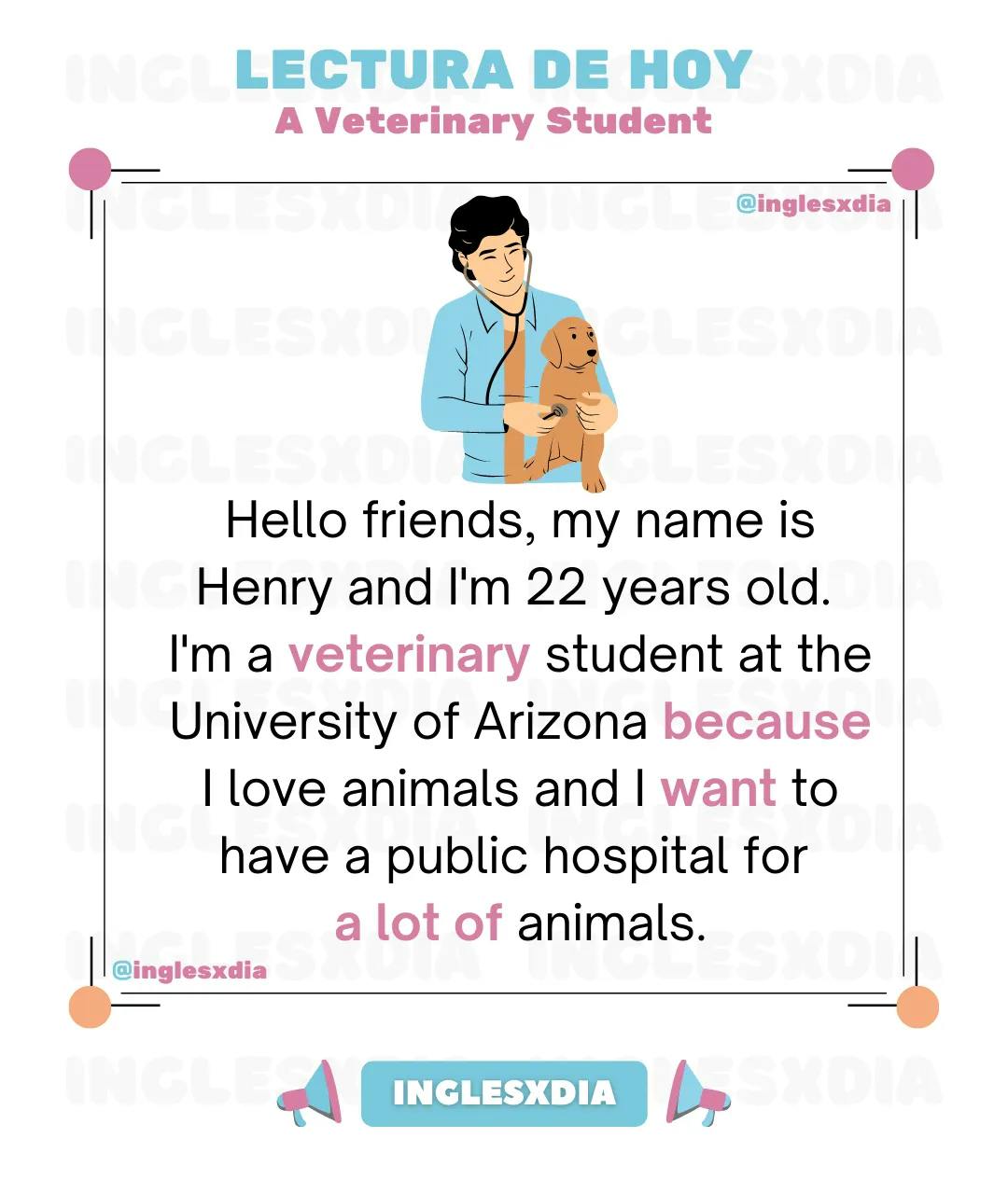 Curso de inglés en línea: Lectura corta · A Veterinary Student