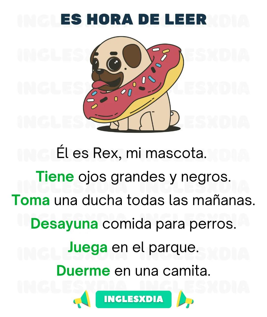 Curso de inglés en línea: Lectura básica · My dog's routine