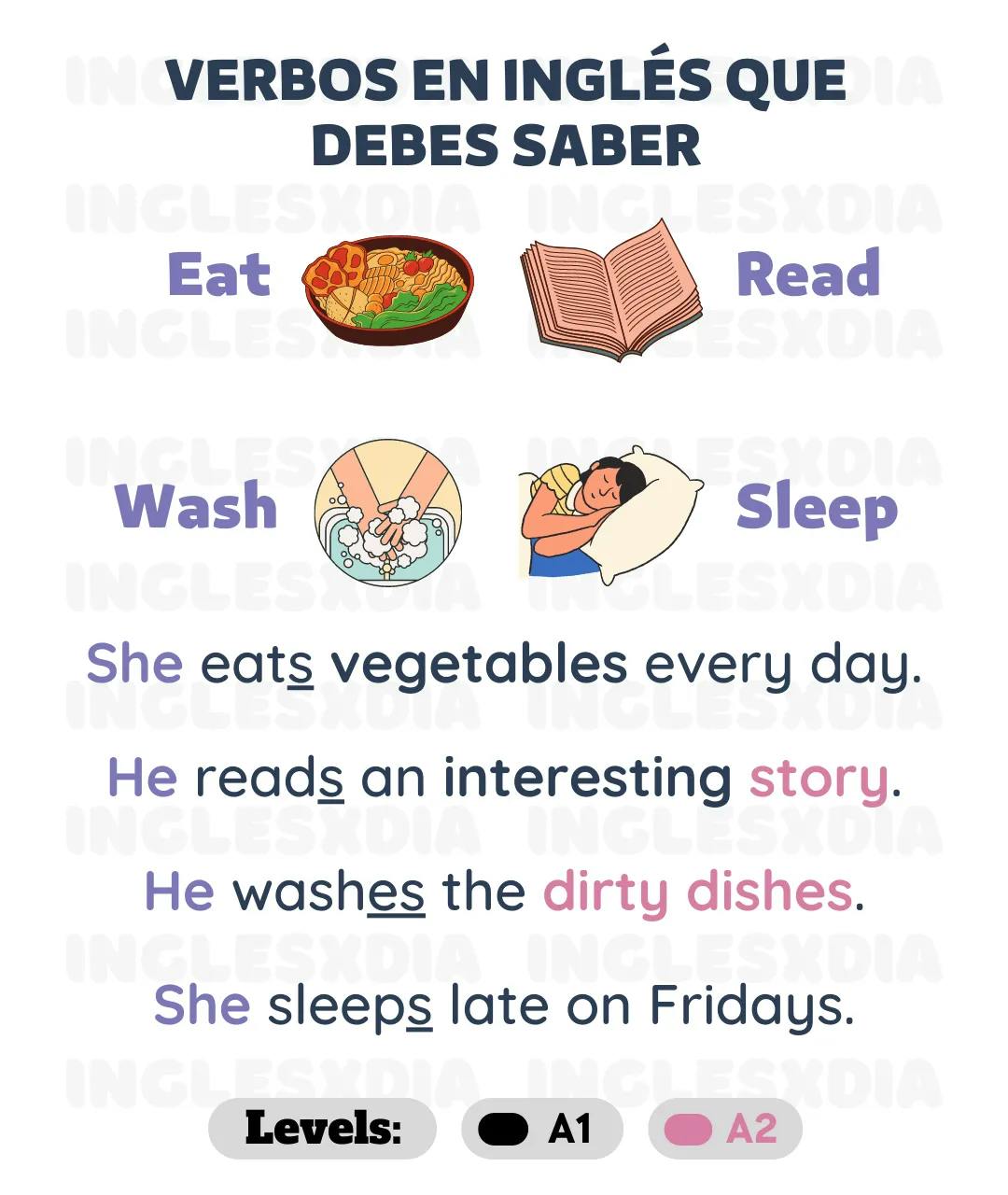 Curso de inglés en línea: Verbos en inglés que debes saber: eat · read · wash · sleep