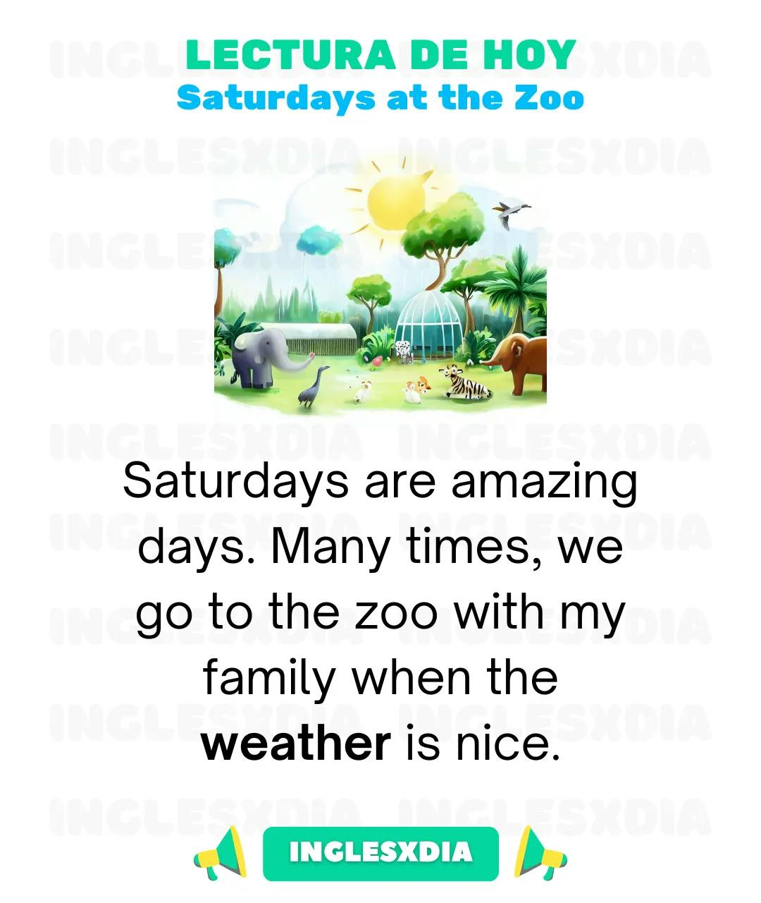 Saturdays at the Zoo